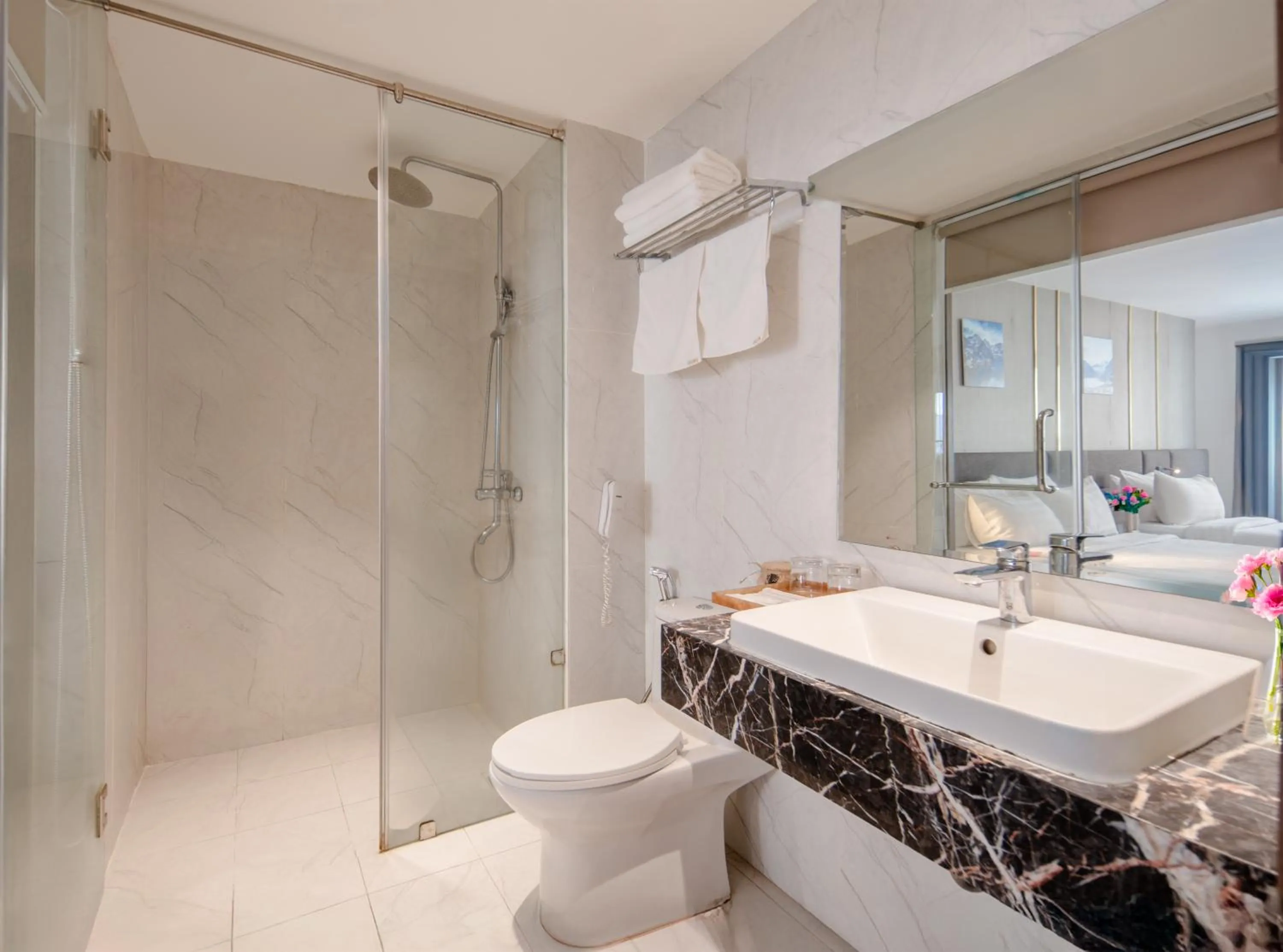 Toilet in Sochi Hotel