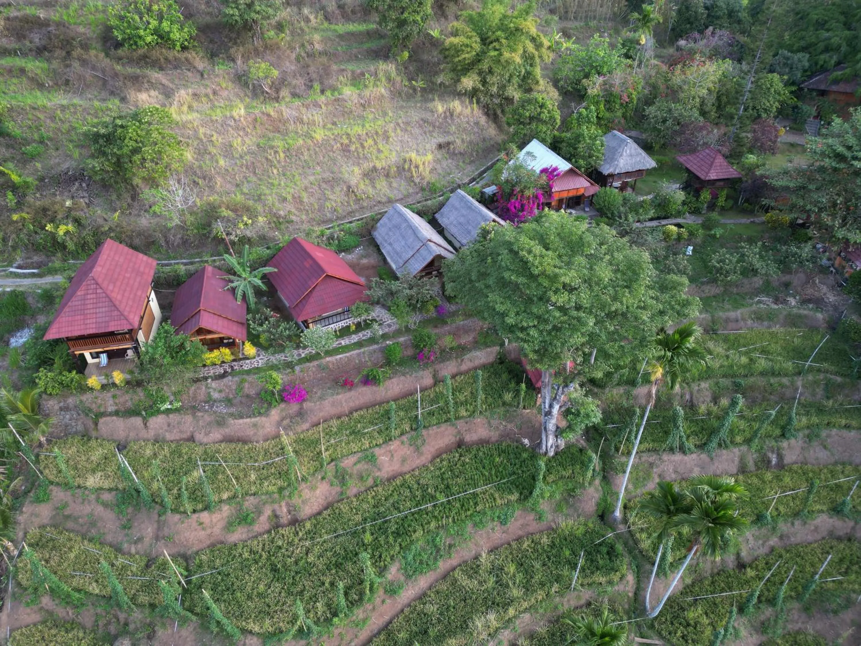 Rinjani Mountain Garden