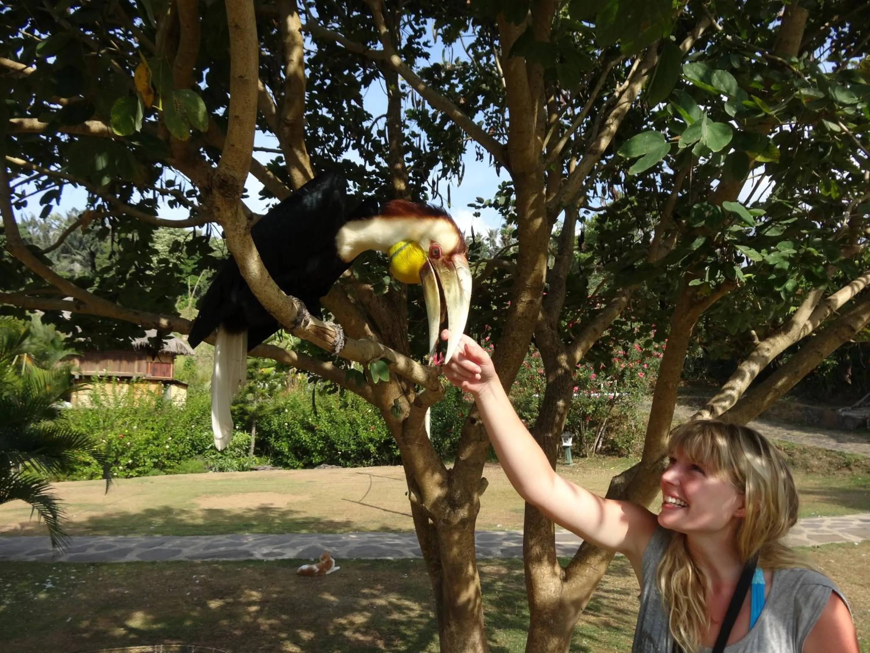 Rinjani Mountain Garden