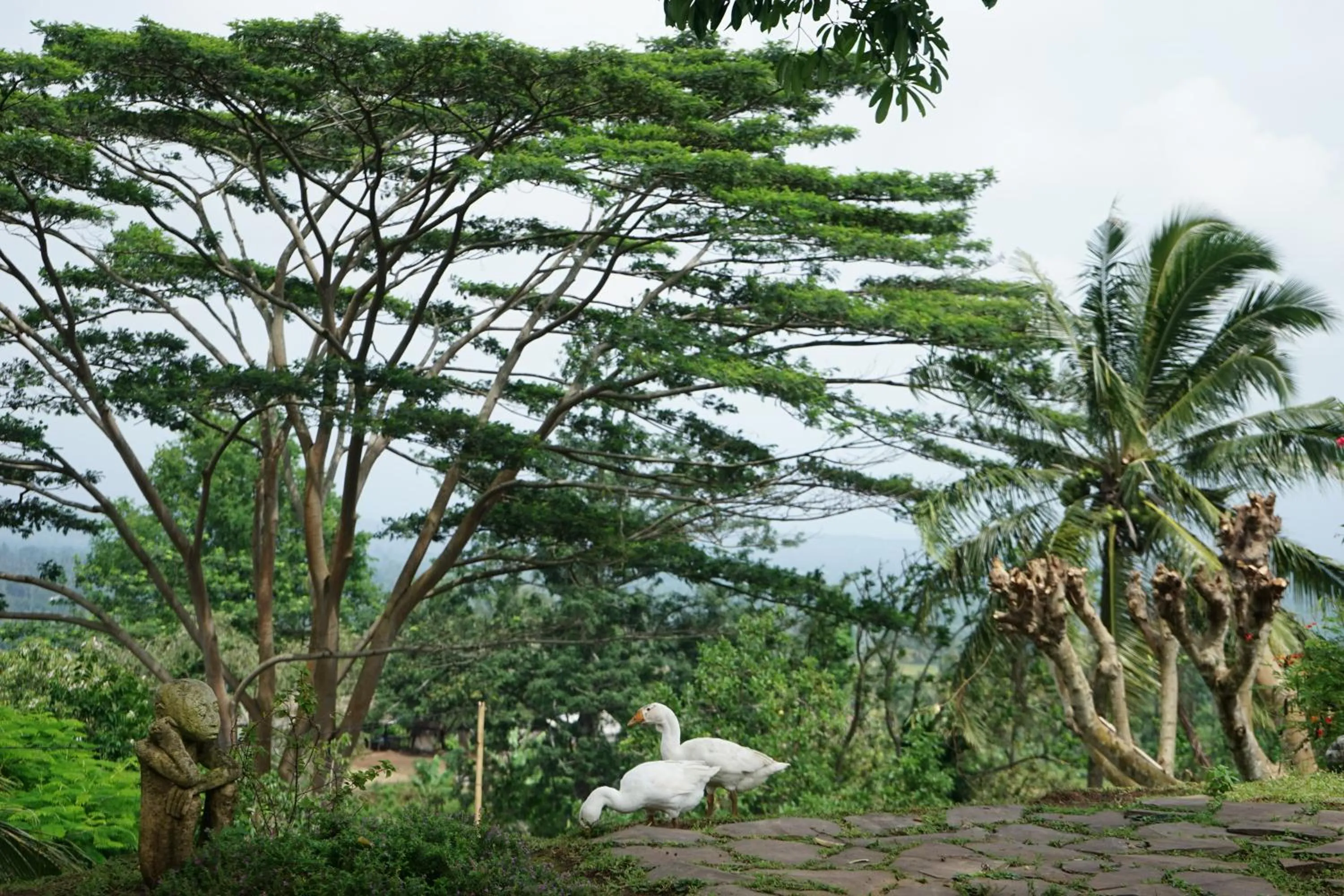 Pets in Rinjani Mountain Garden