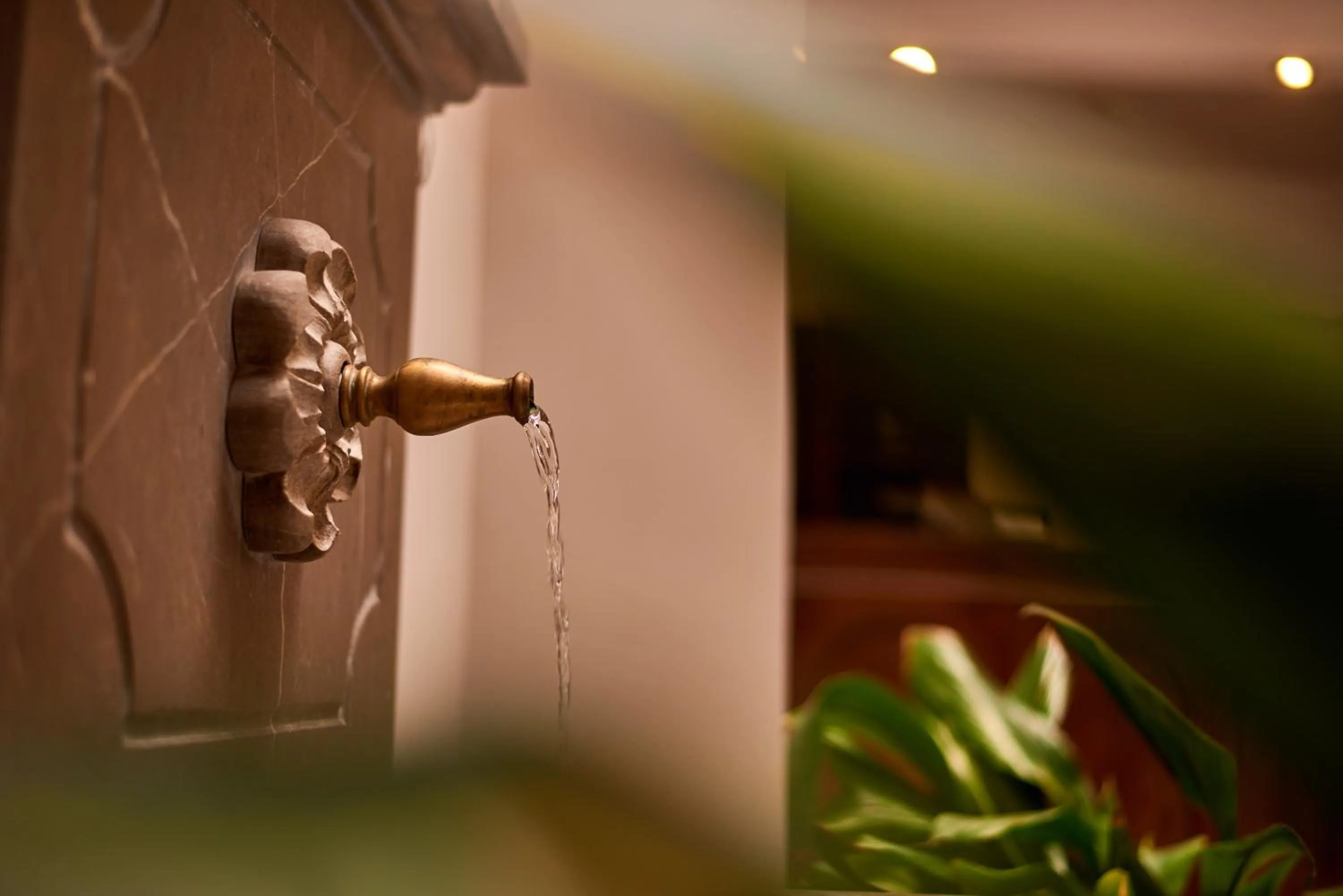 Area and facilities in Monjas del Carmen Hotel