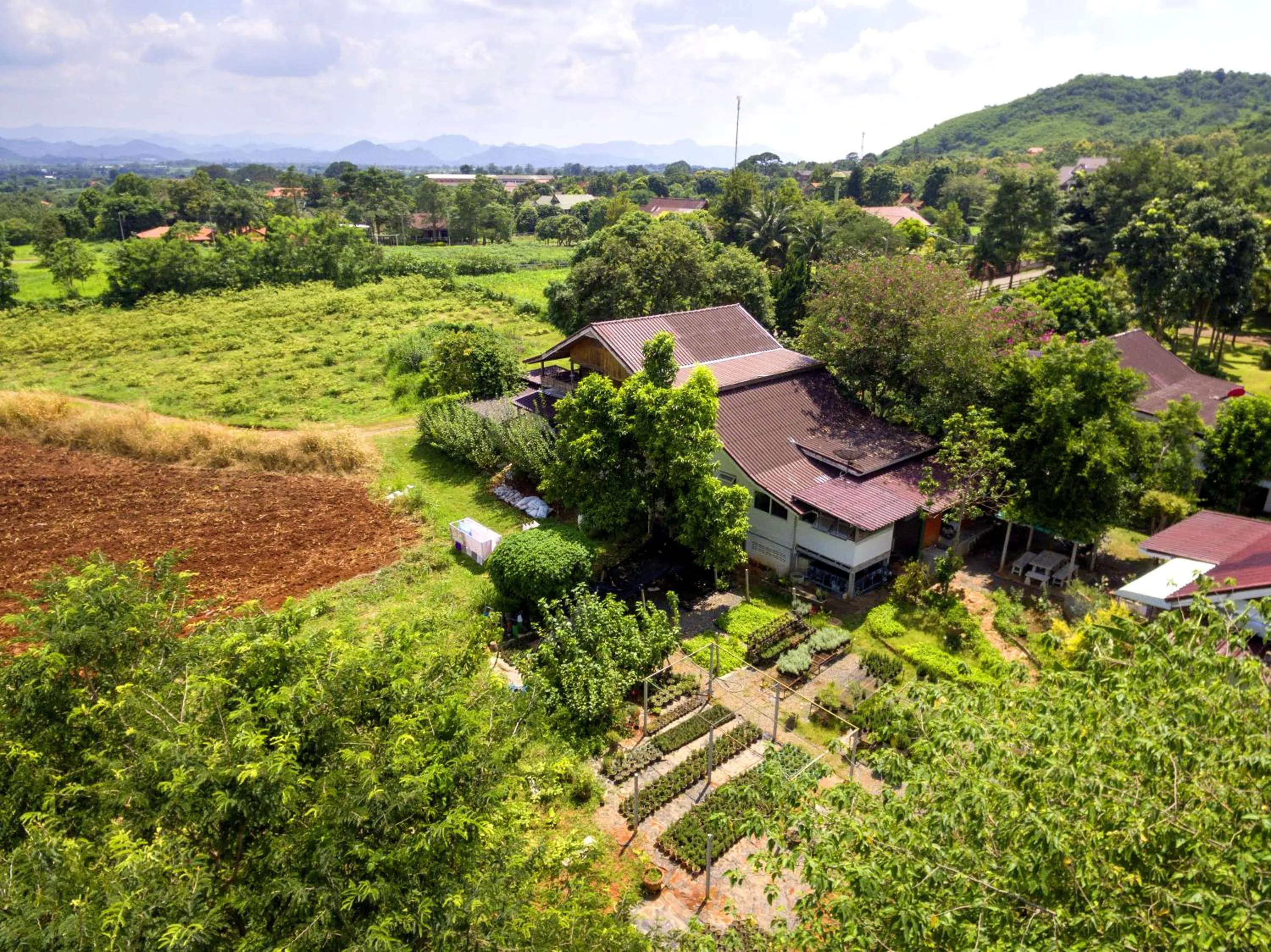 Bird's eye view in Rosemary House