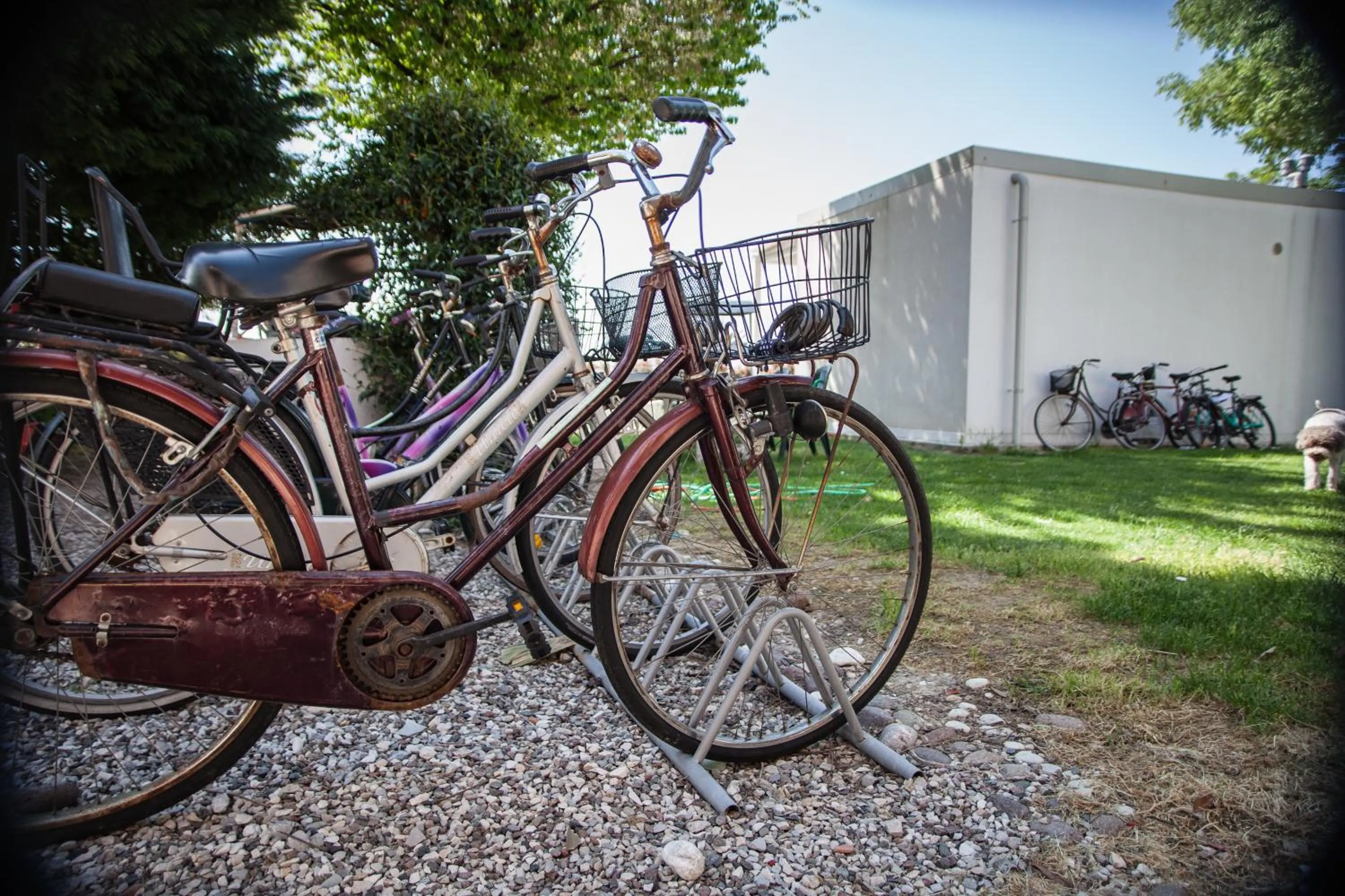 Cycling in Il Giardino Di Rebecca