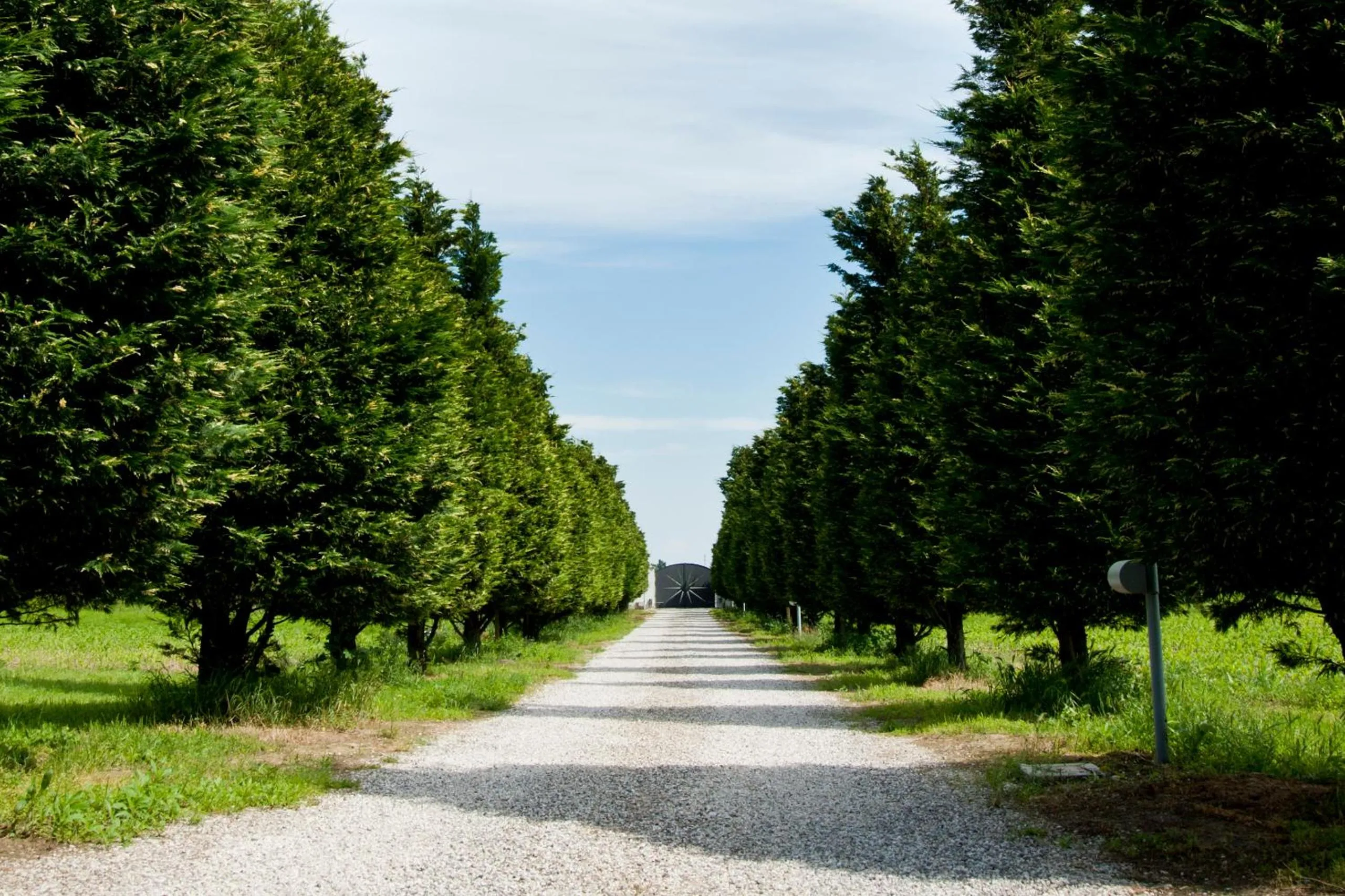 Facade/entrance in Il Giardino Di Rebecca
