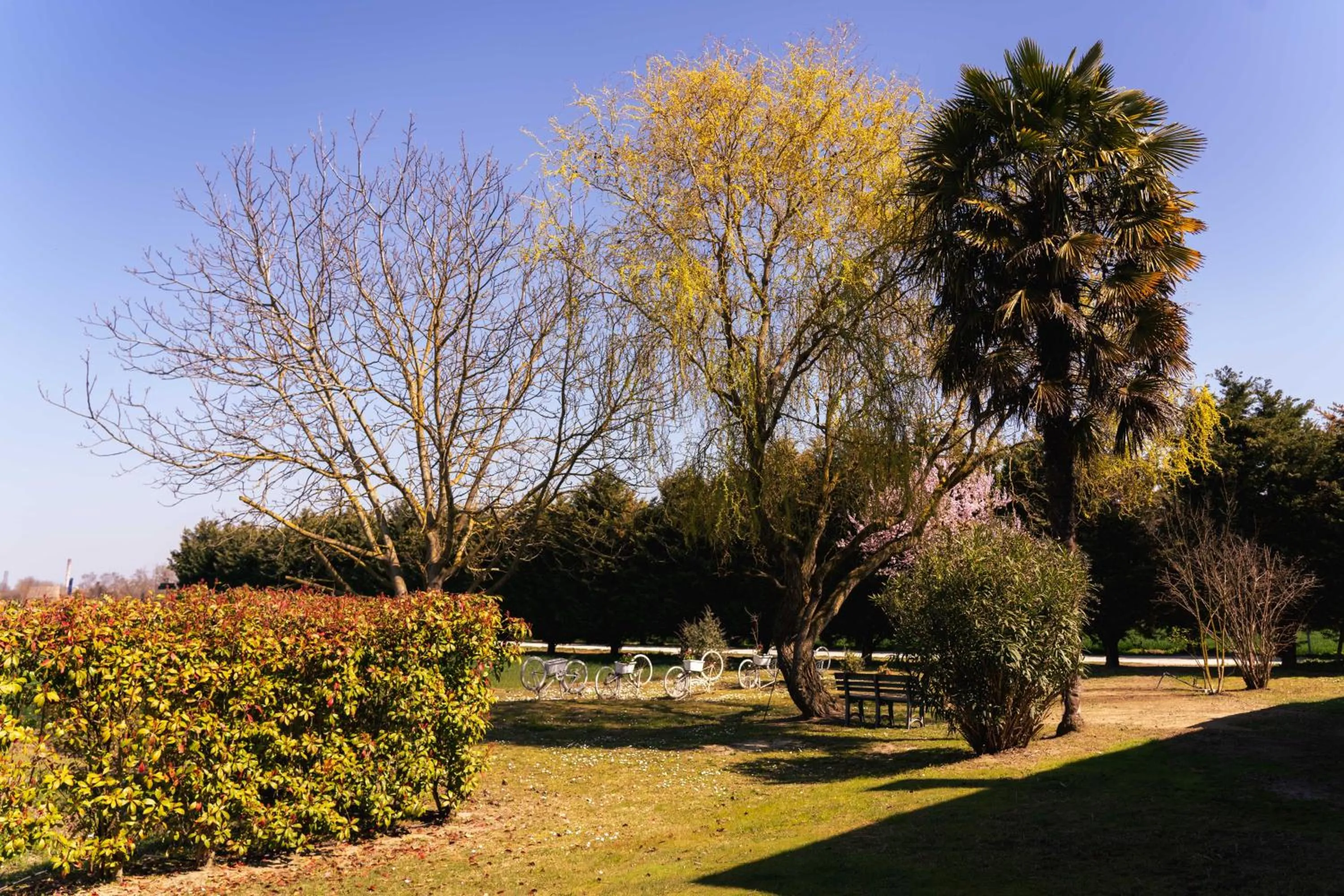 Garden in Il Giardino Di Rebecca