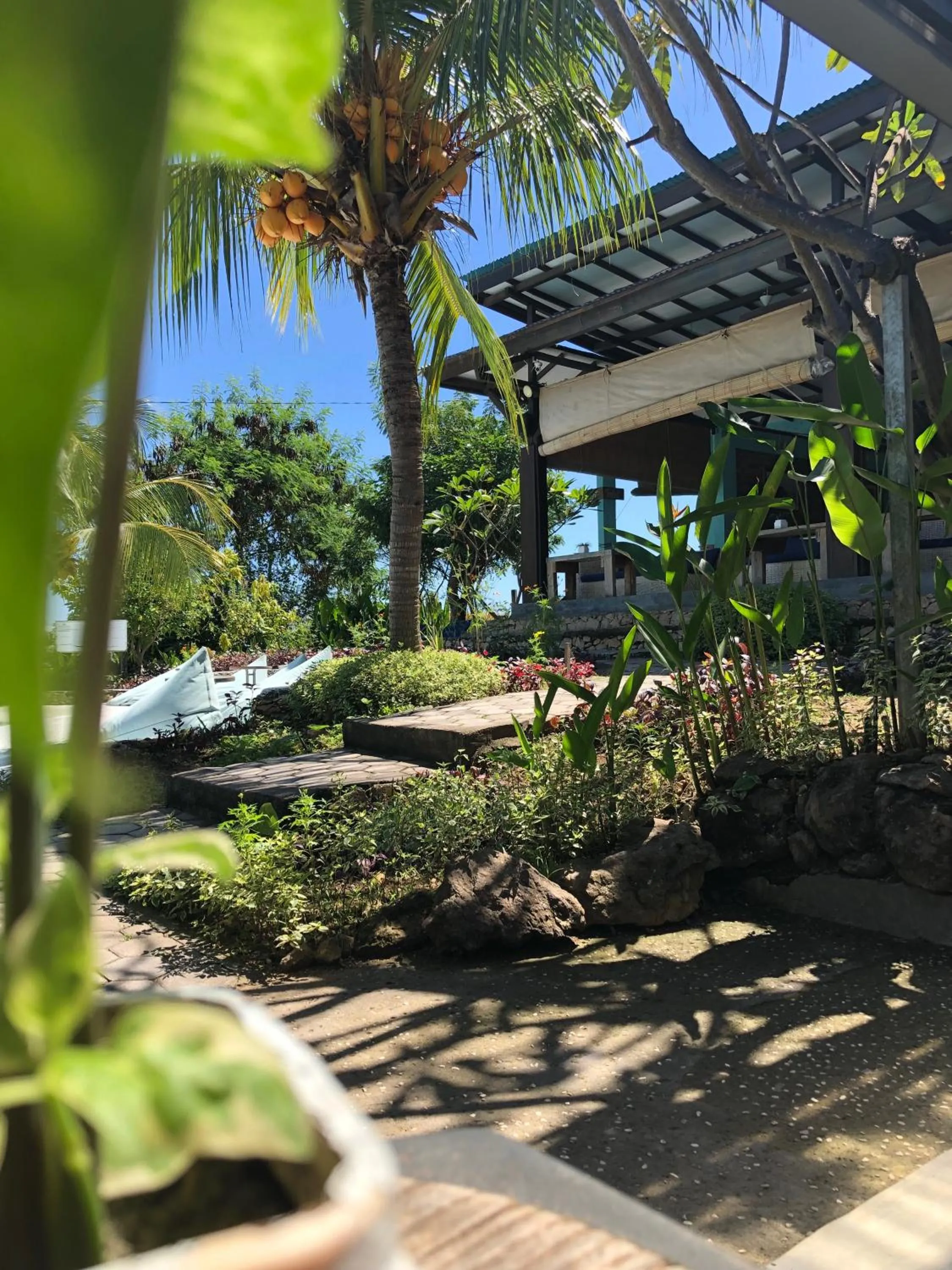 Garden in Wae Molas Hotel