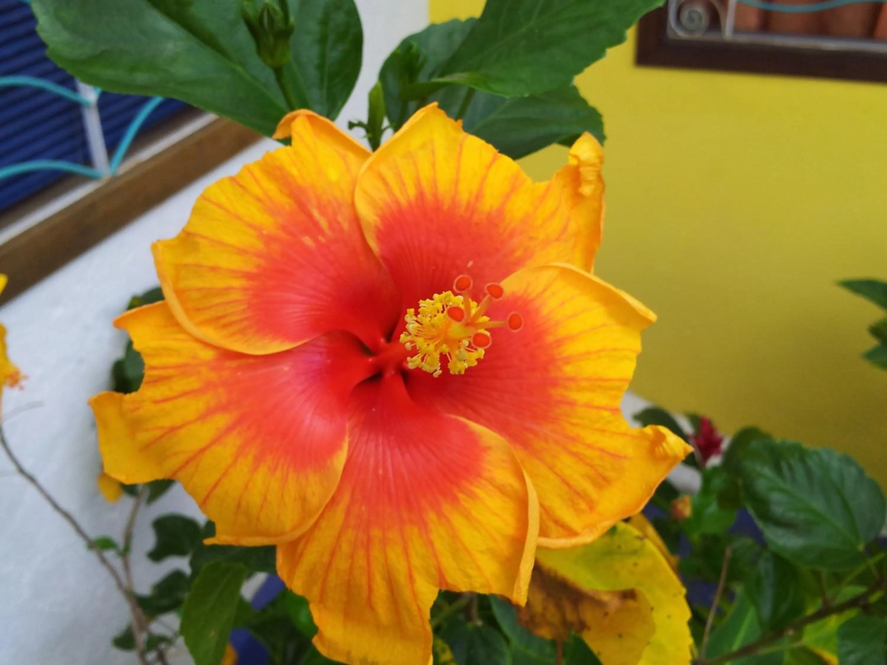 Decorative detail in Art Hotel Aos Sinos Dos Anjos