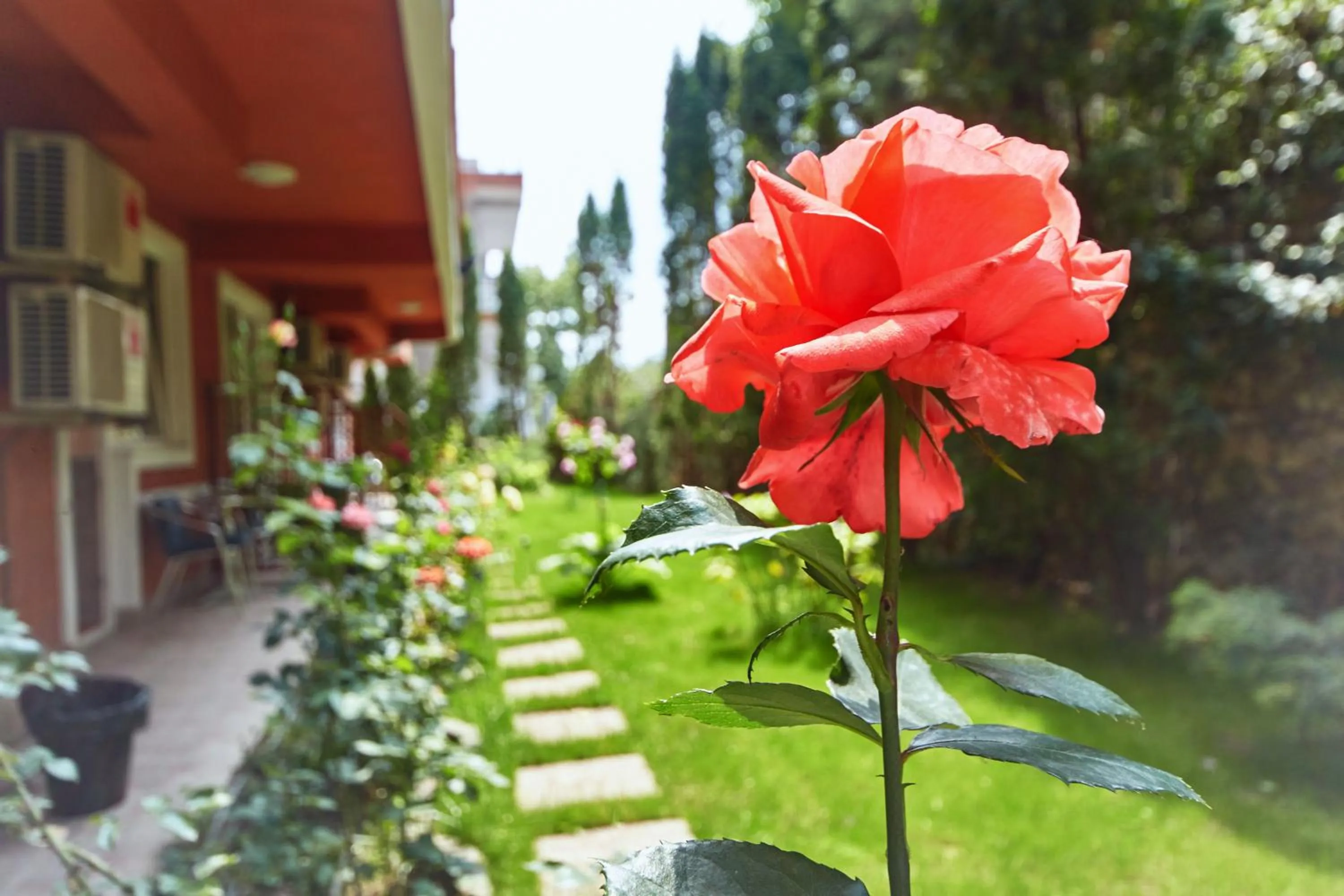 Garden in Leonardo Hotel