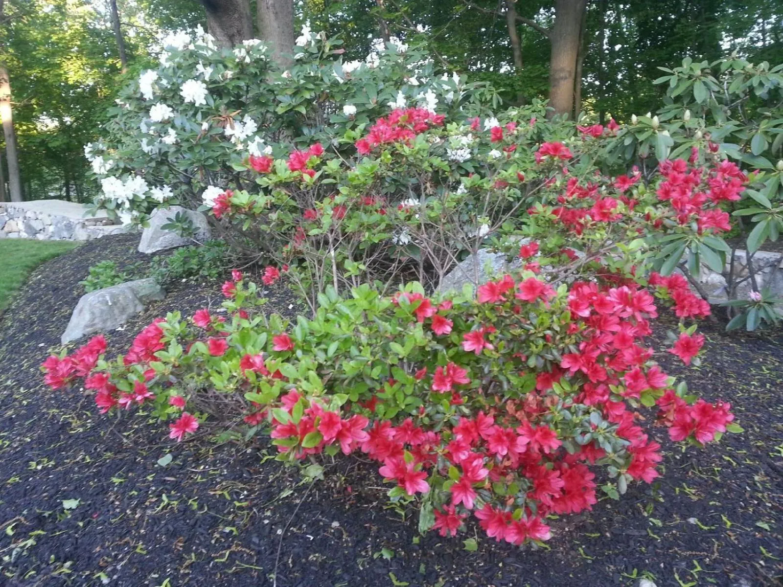 Day in Crescent Suites Hotel