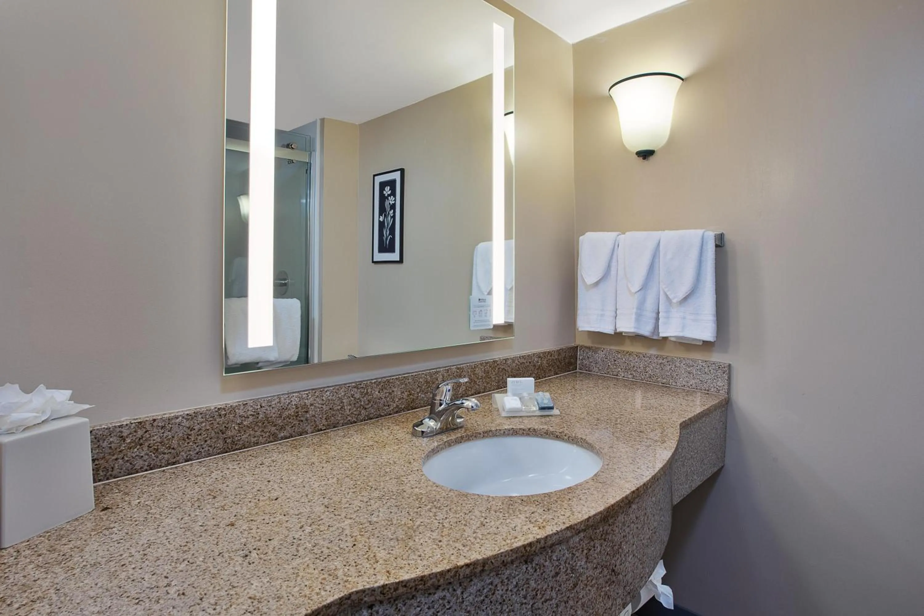 Bathroom in Hilton Garden Inn Chesapeake Greenbrier