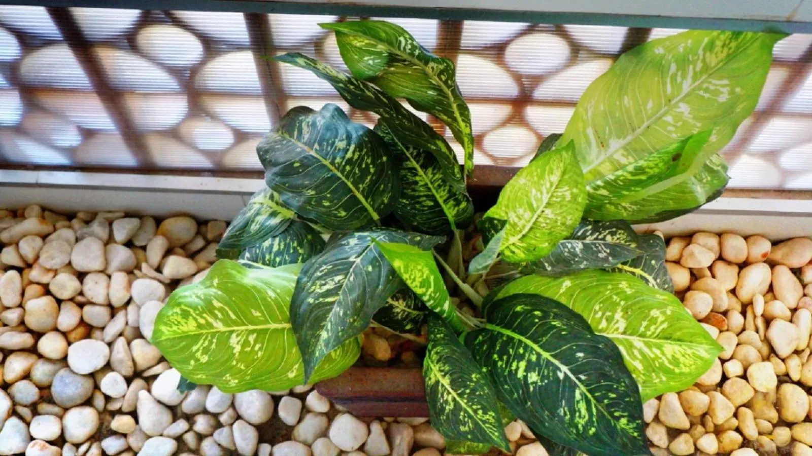 Thai Hoa Mui Ne Resort