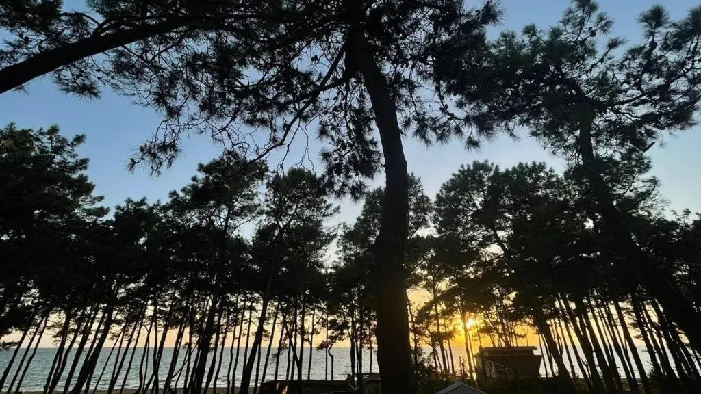 Villa ReTa Hotel & SPA