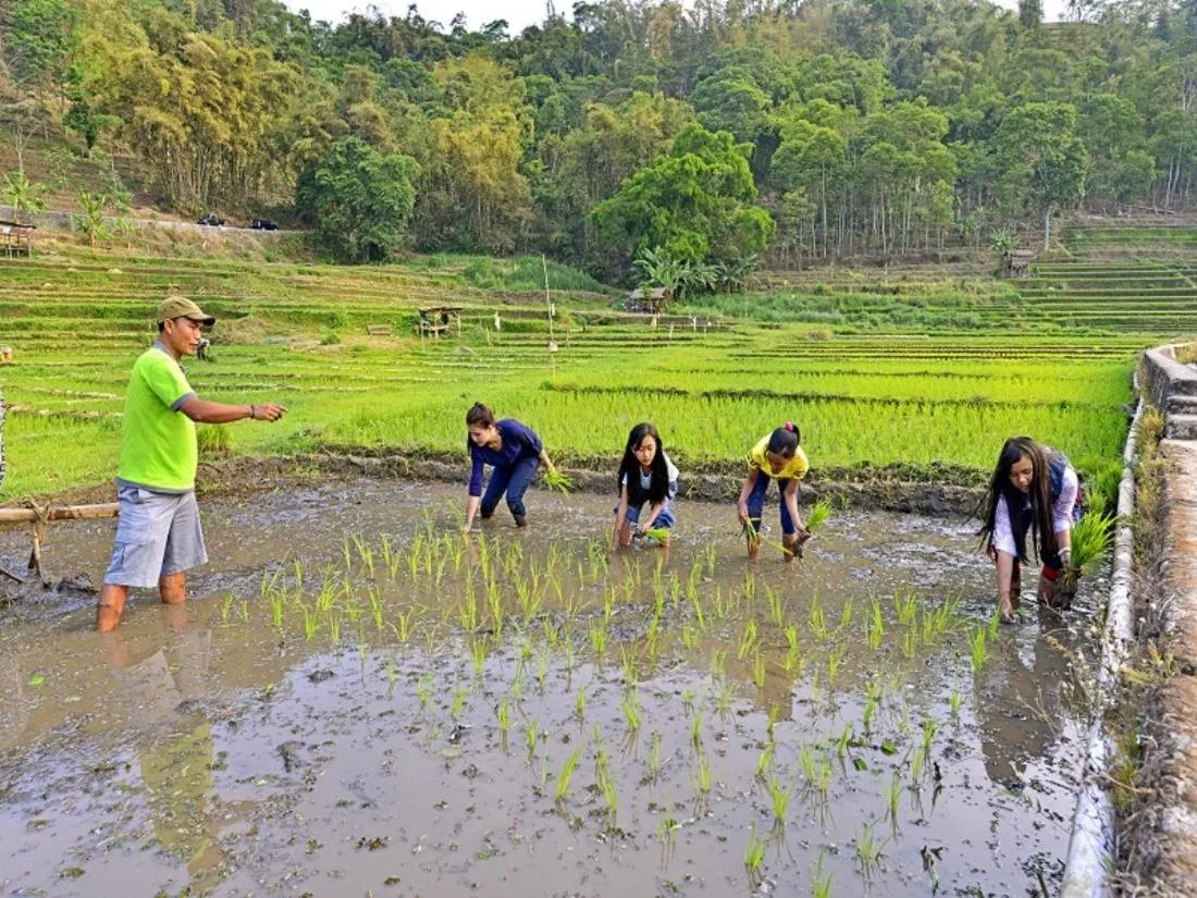 Children play ground in Grand Whiz Hotel Trawas Mojokerto