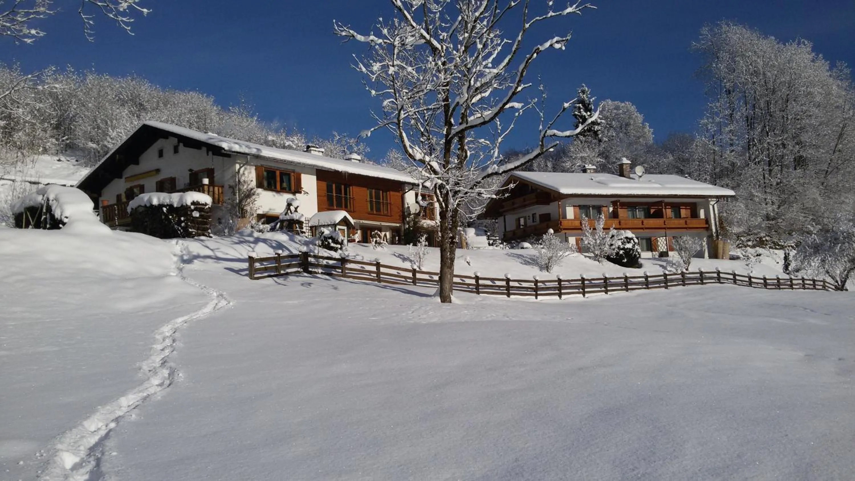 Facade/entrance in Tourist Hotel Boehm