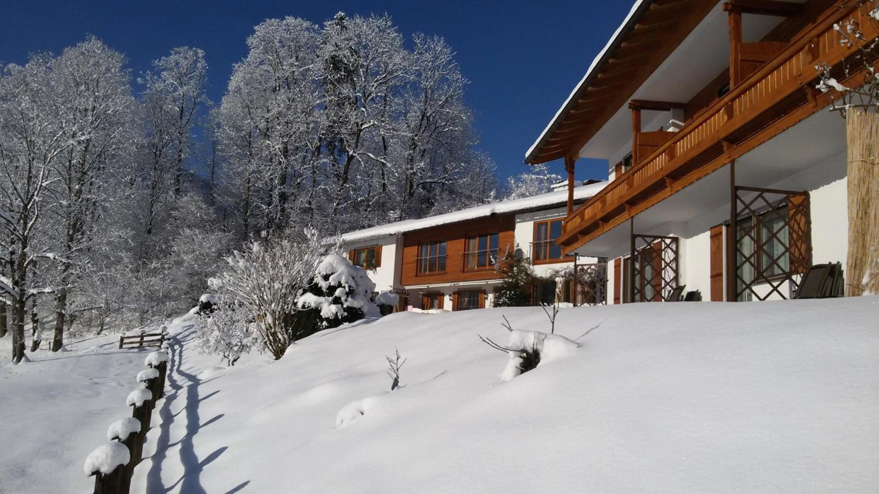 Garden in Tourist Hotel Boehm