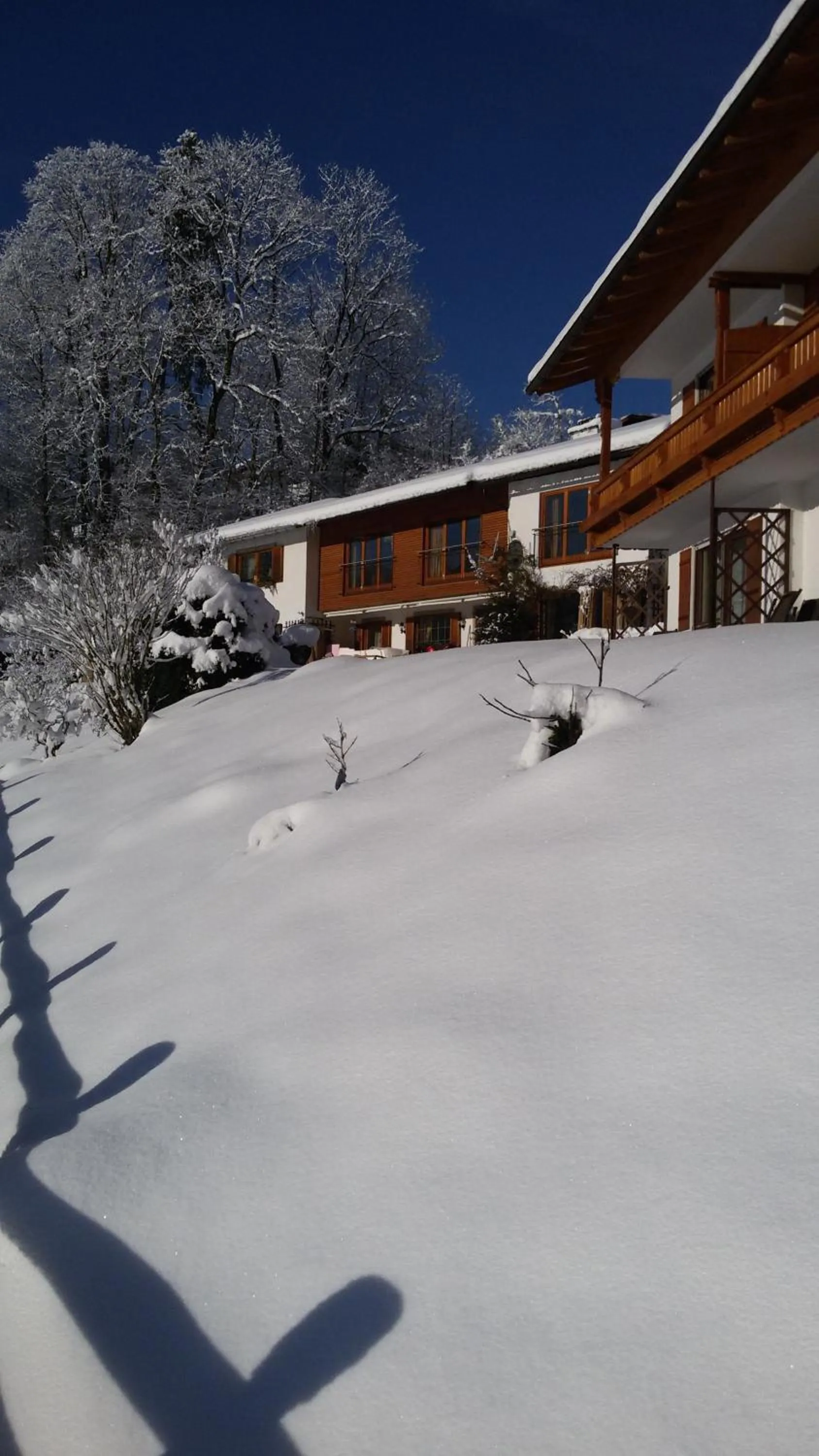 Garden in Tourist Hotel Boehm
