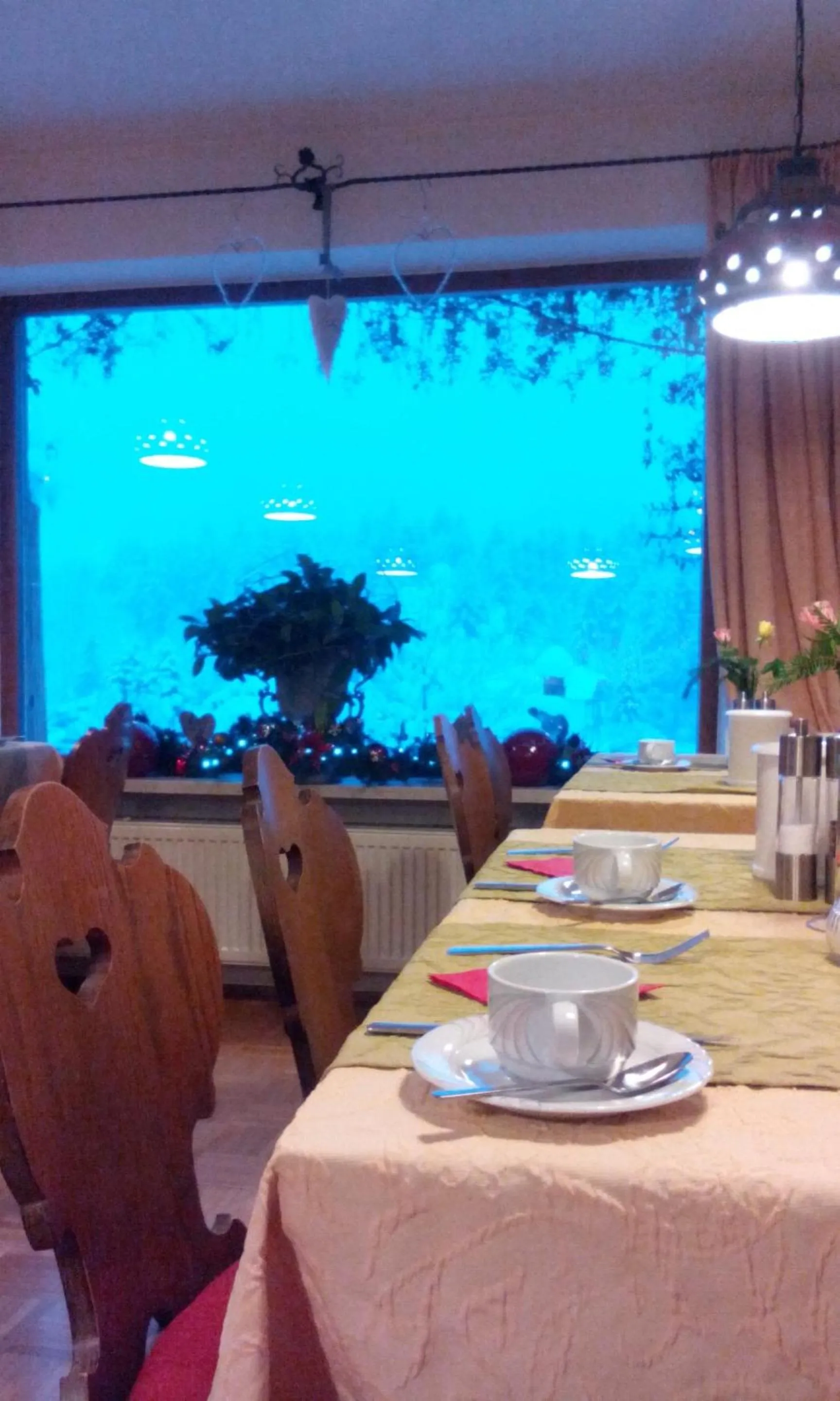 Restaurant/places to eat in Tourist Hotel Boehm