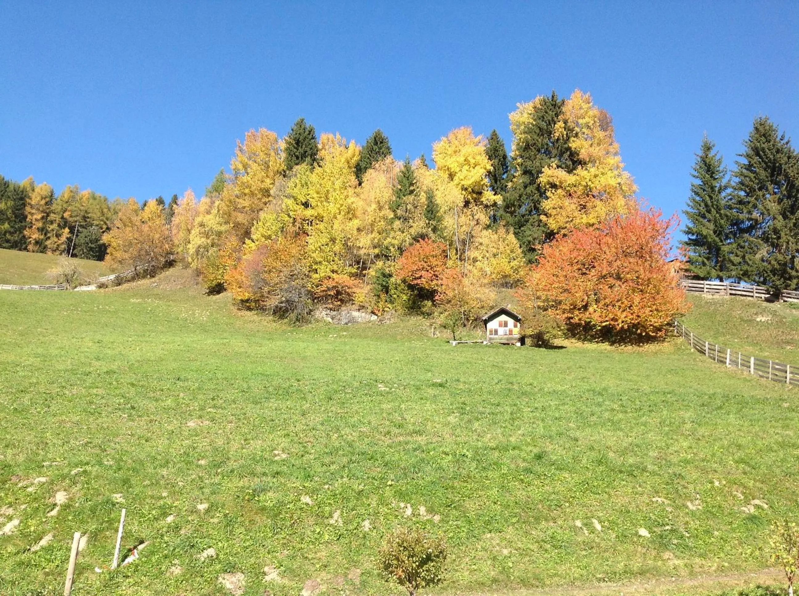 Day in Berggasthaus Agritur Moserhof