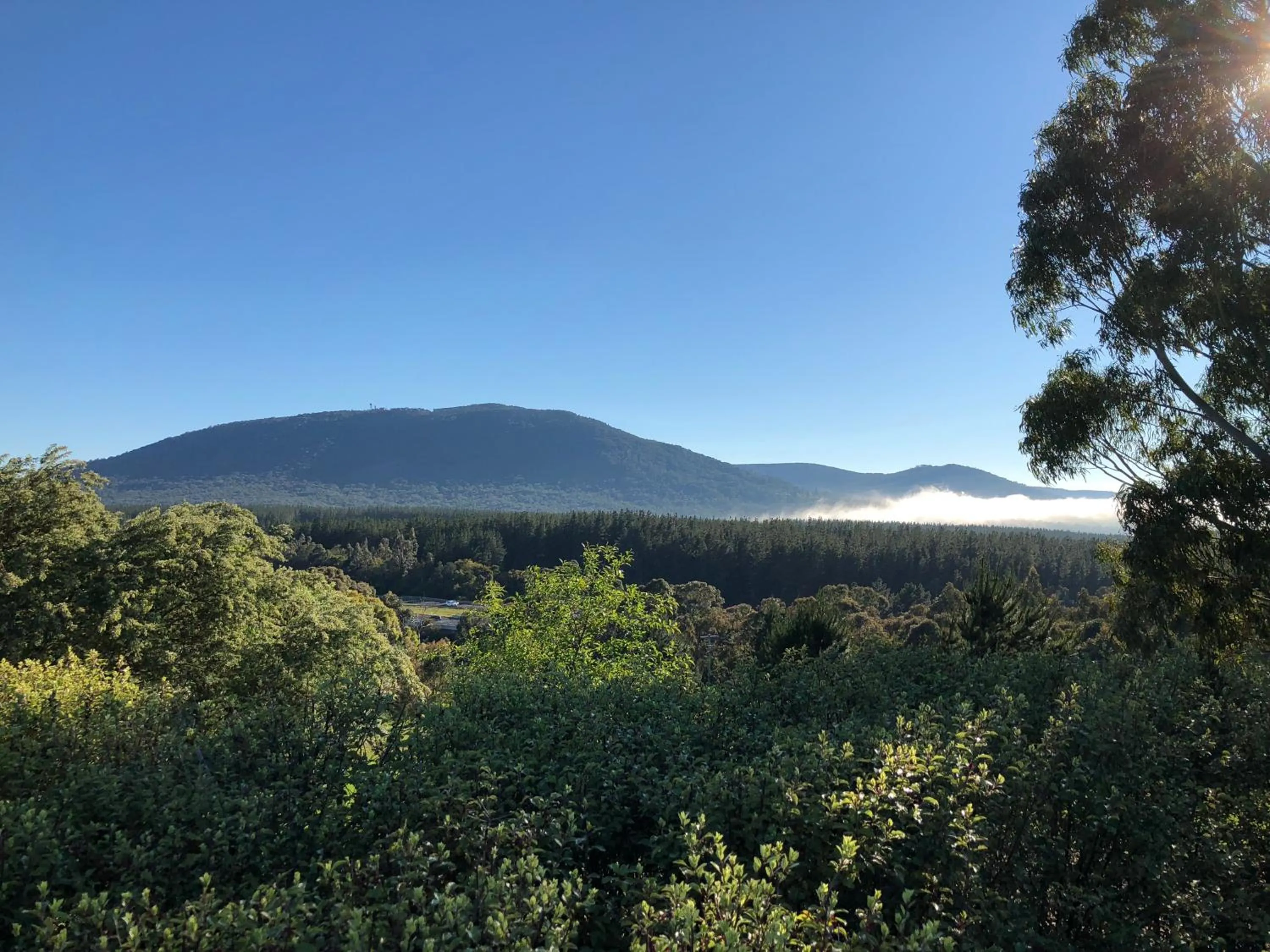 Natural landscape in Macedon Ranges Hotel & Spa