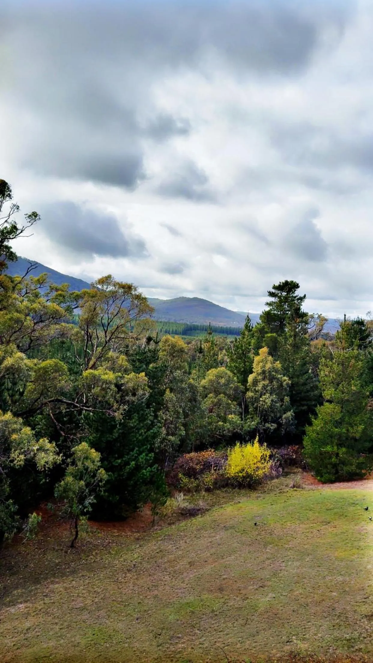 View (from property/room) in Macedon Ranges Hotel & Spa