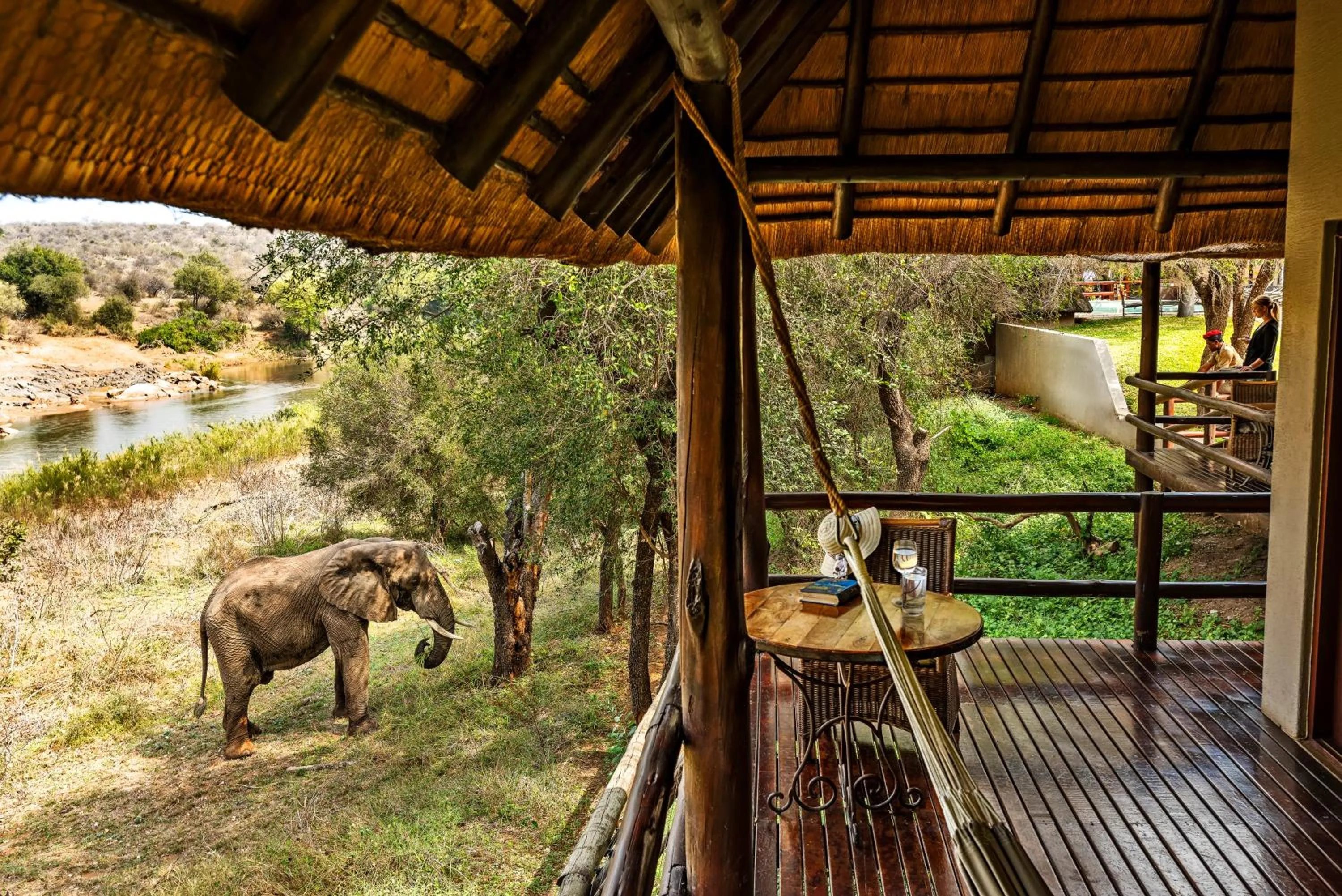 Natural landscape in Nyati Safari Lodge