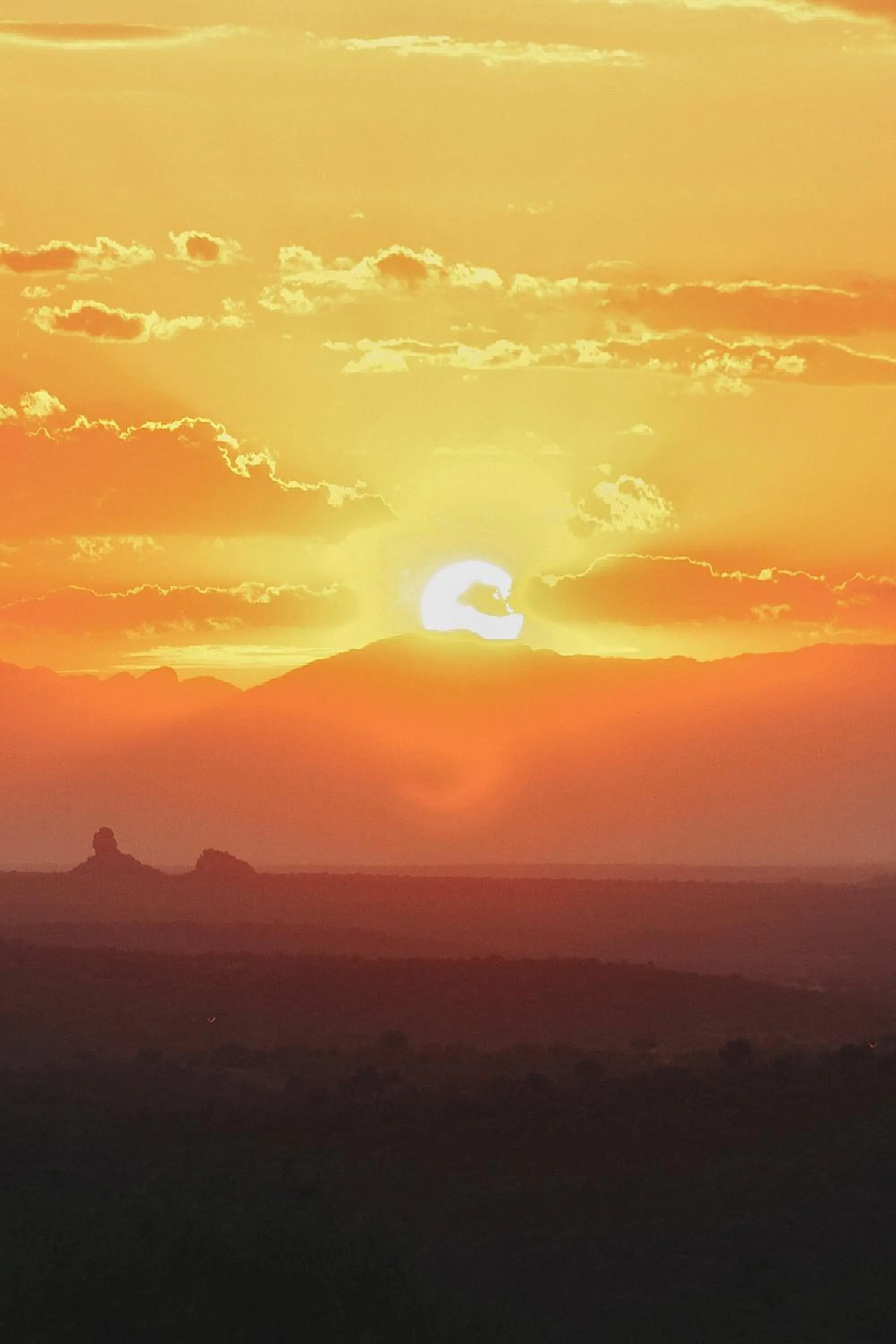 Natural landscape in Nyati Safari Lodge