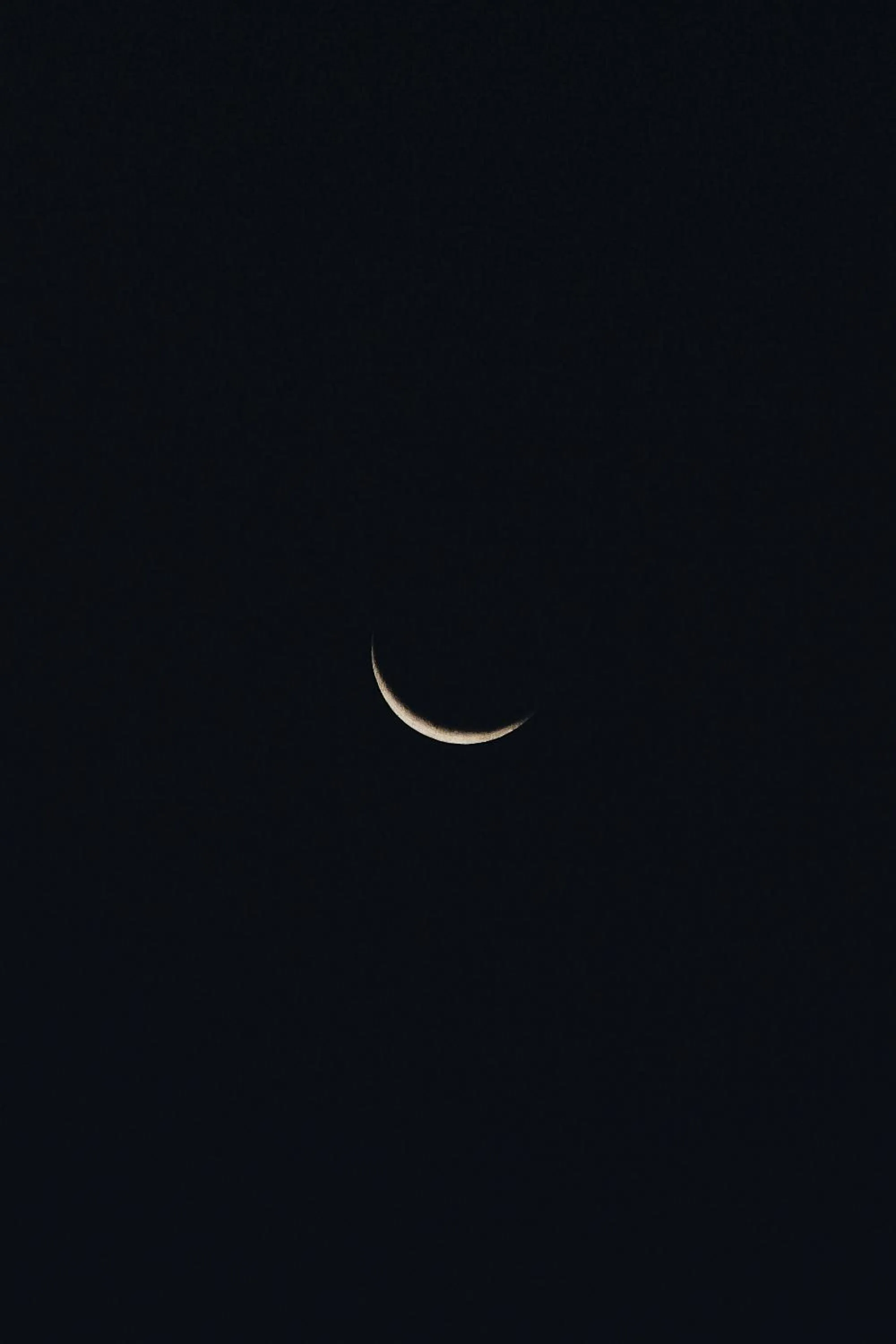 Night in Nyati Safari Lodge