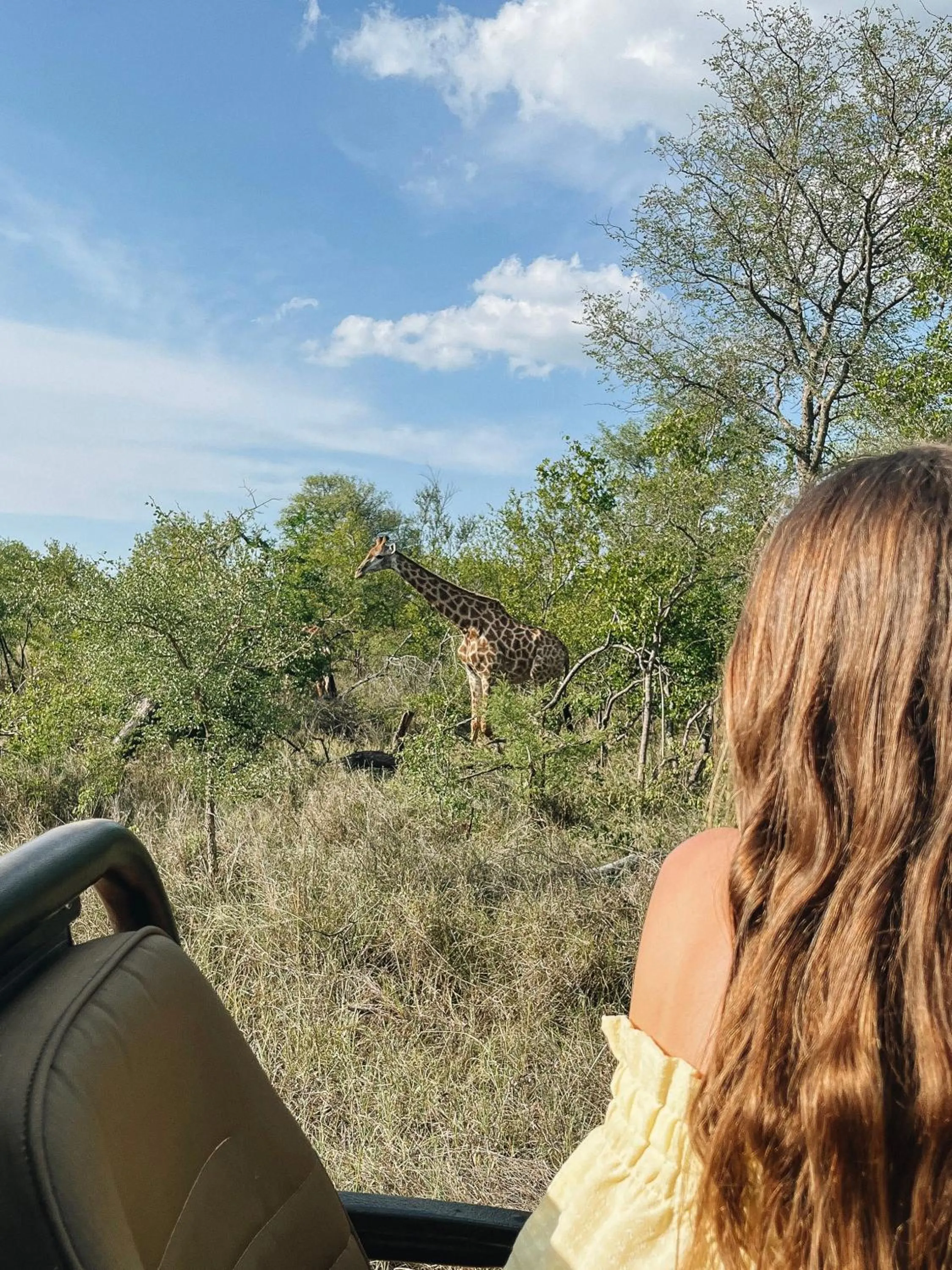 Day in Nyati Safari Lodge