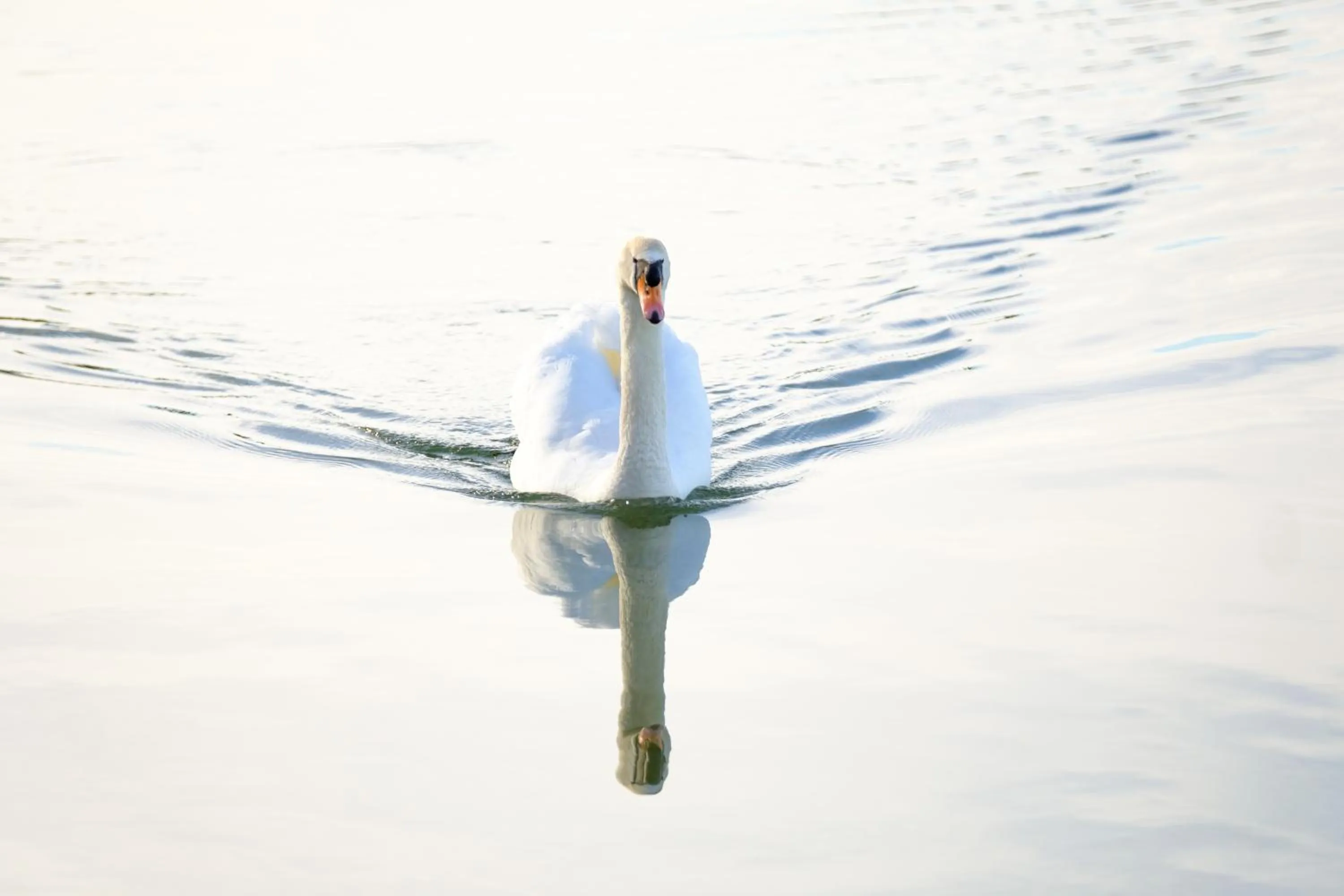 Beach in The Starnbergsee Hideaway
