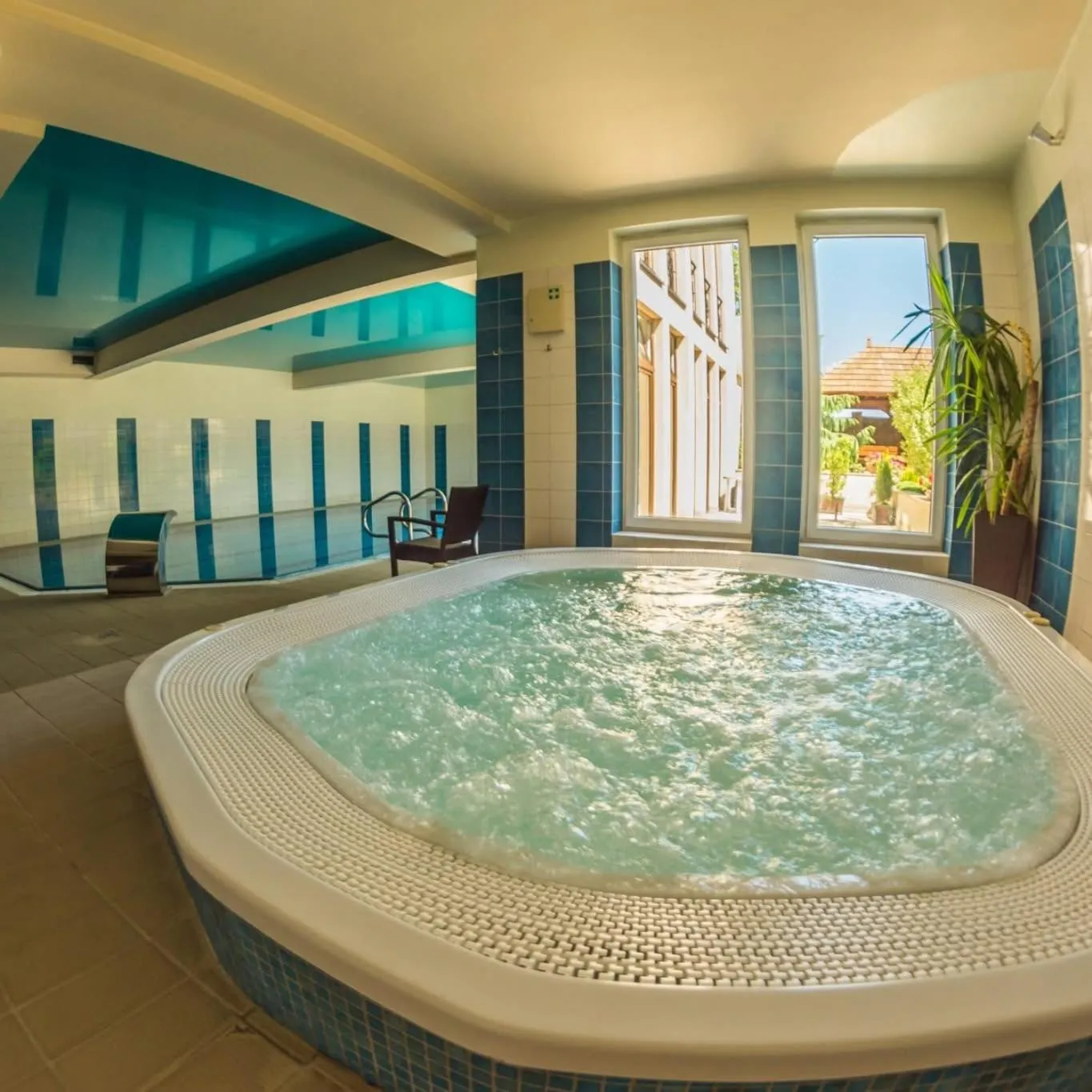 Natural landscape in Hotel Kameralny