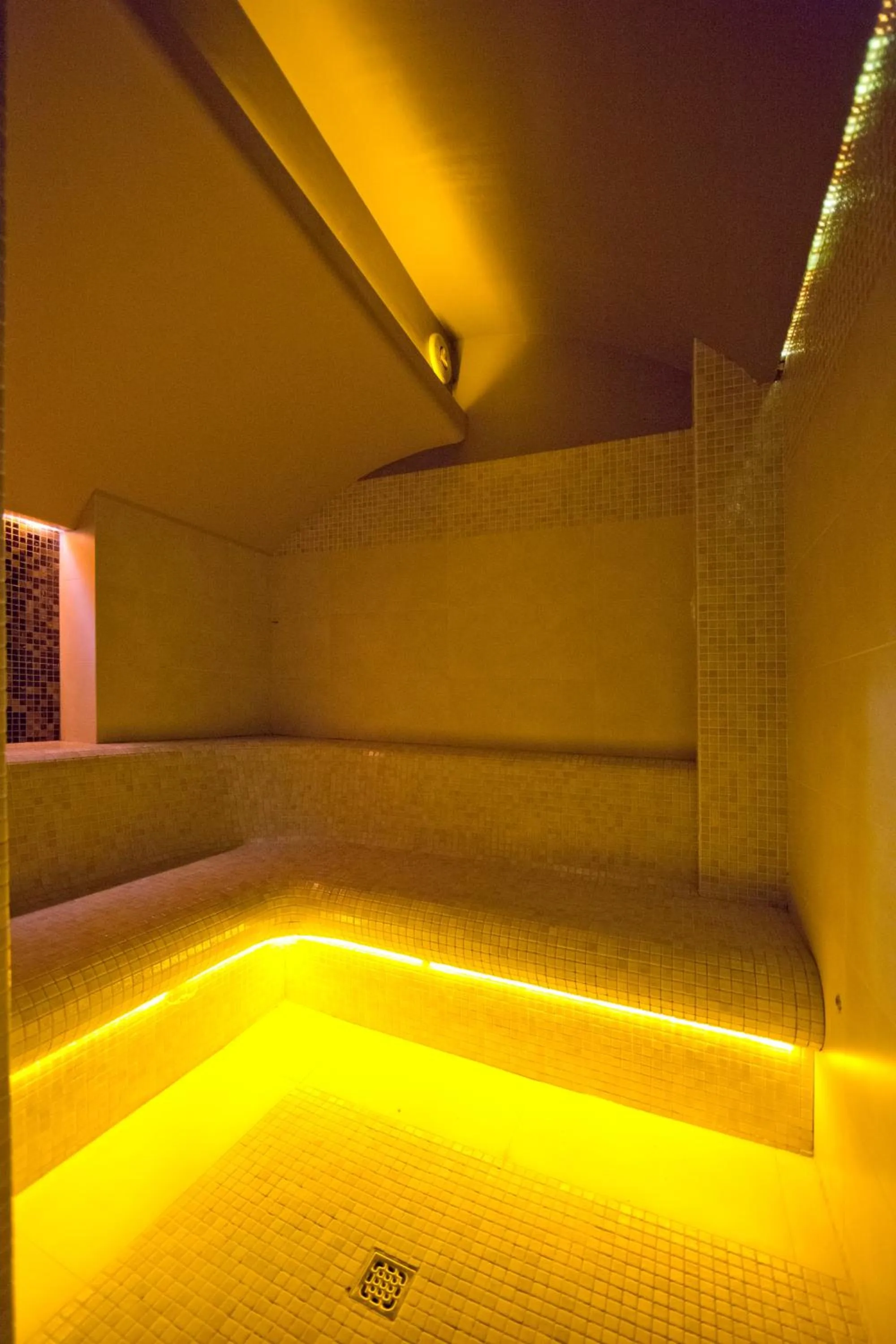 Sauna in Hotel Kameralny