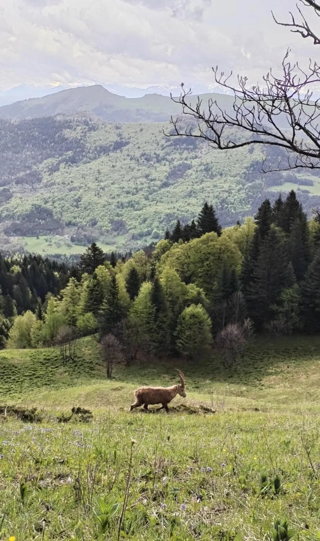 Natural landscape in Auberge Buissonniere