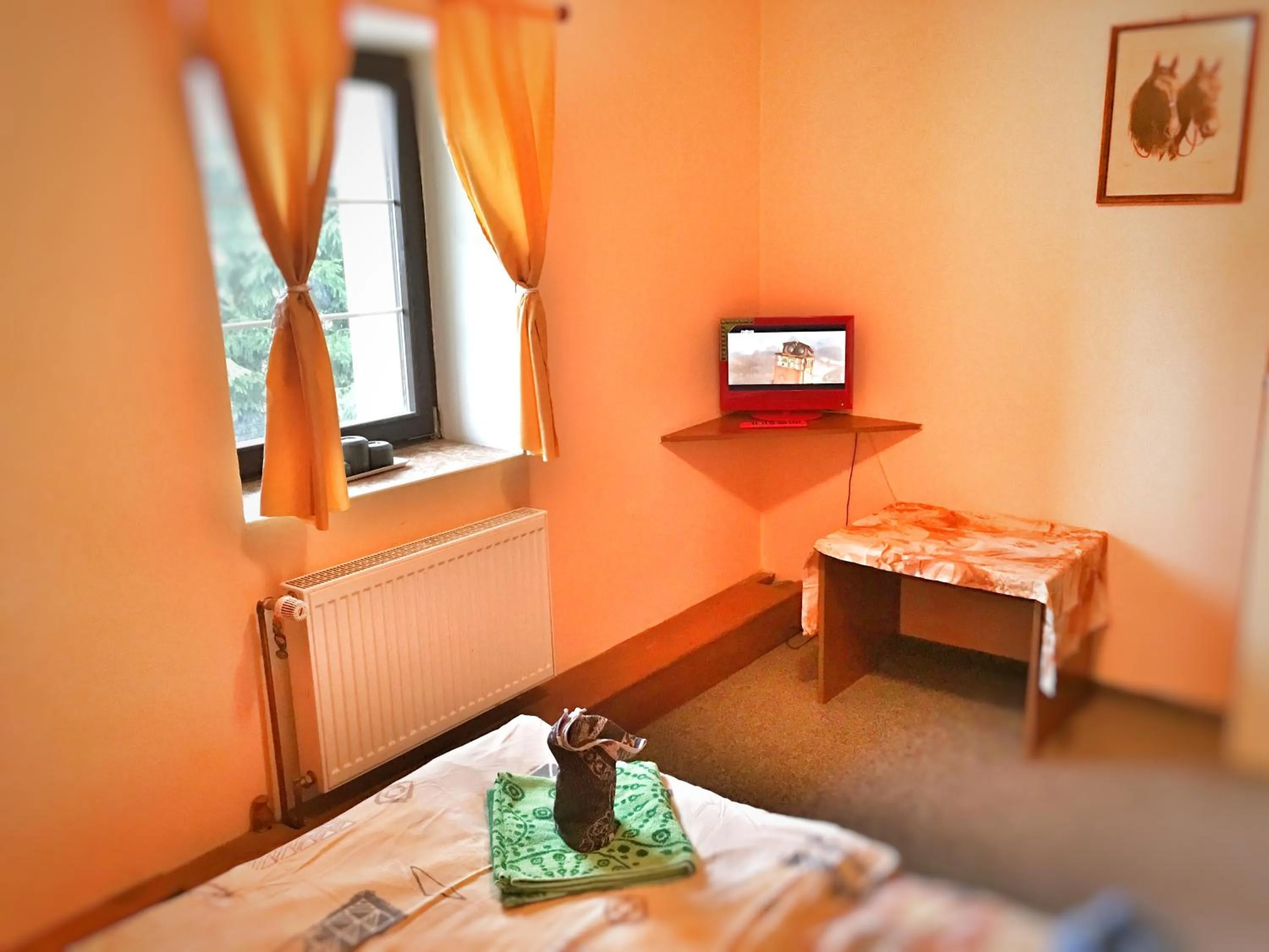 Photo of the whole room, Bed in Penzion Pegas Depoltovice