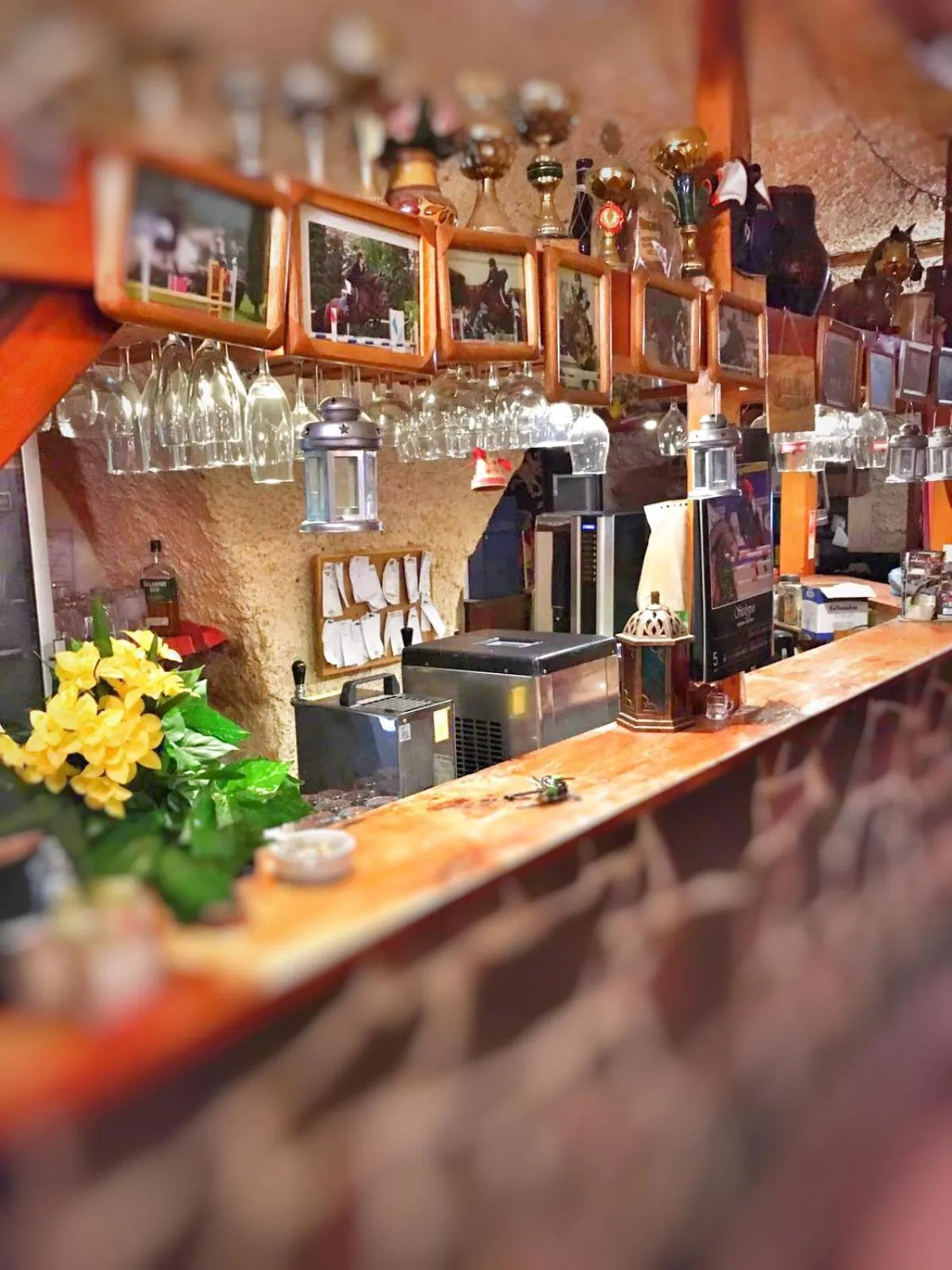 Lounge or bar in Penzion Pegas Depoltovice