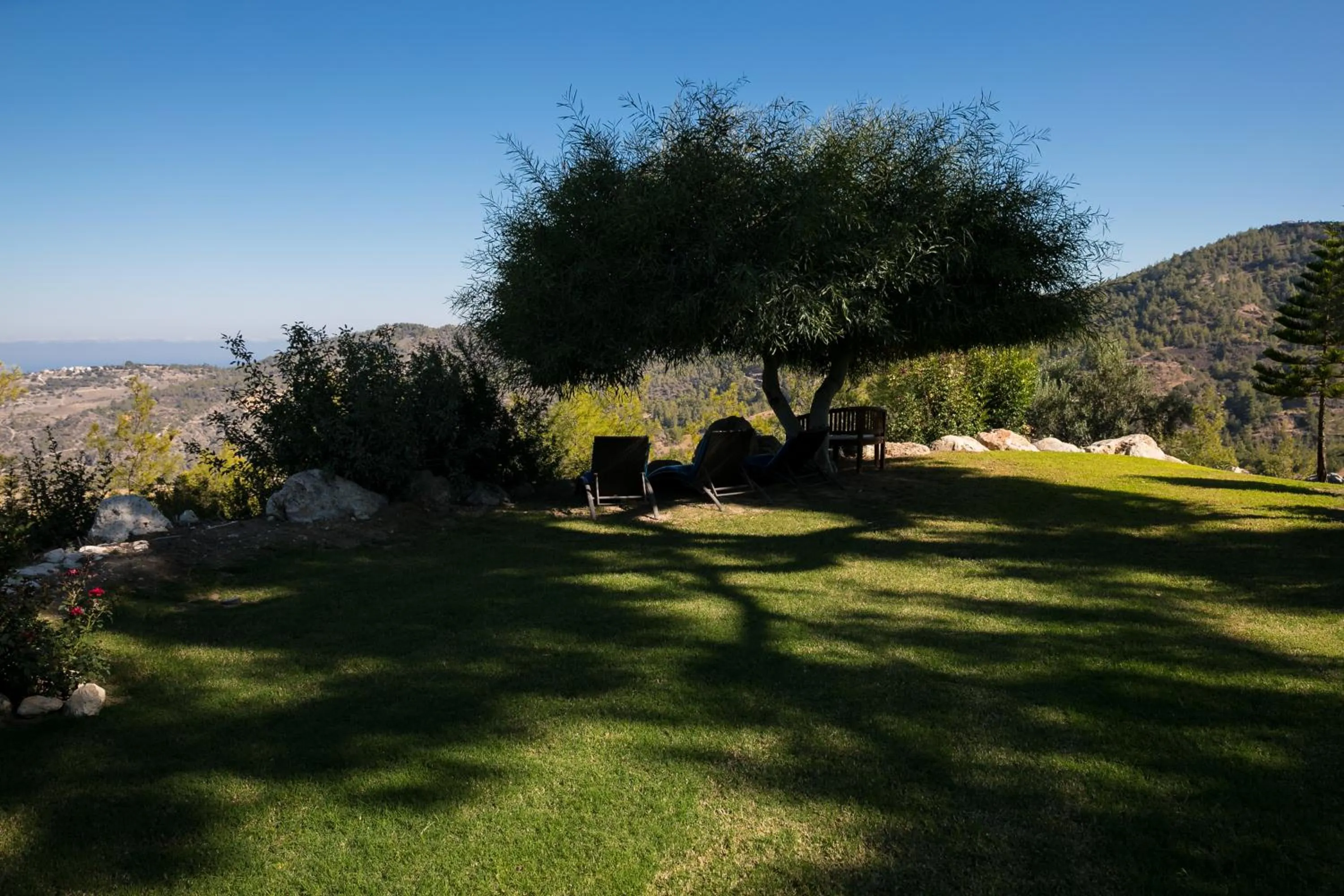 Demetriou Paradisos Hills Hotel