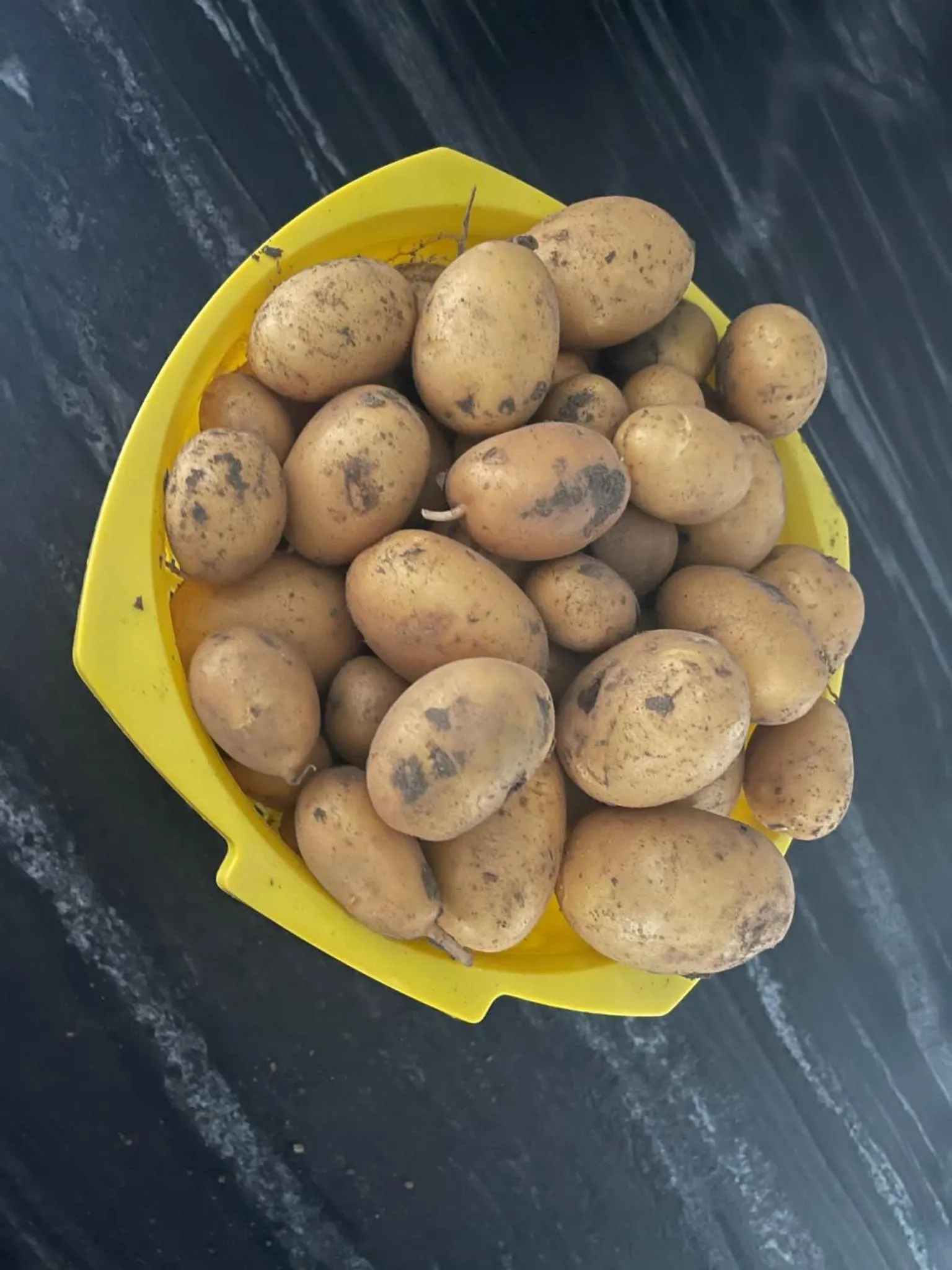 Seasons in Hotel Haunstetter Hof Augsburg