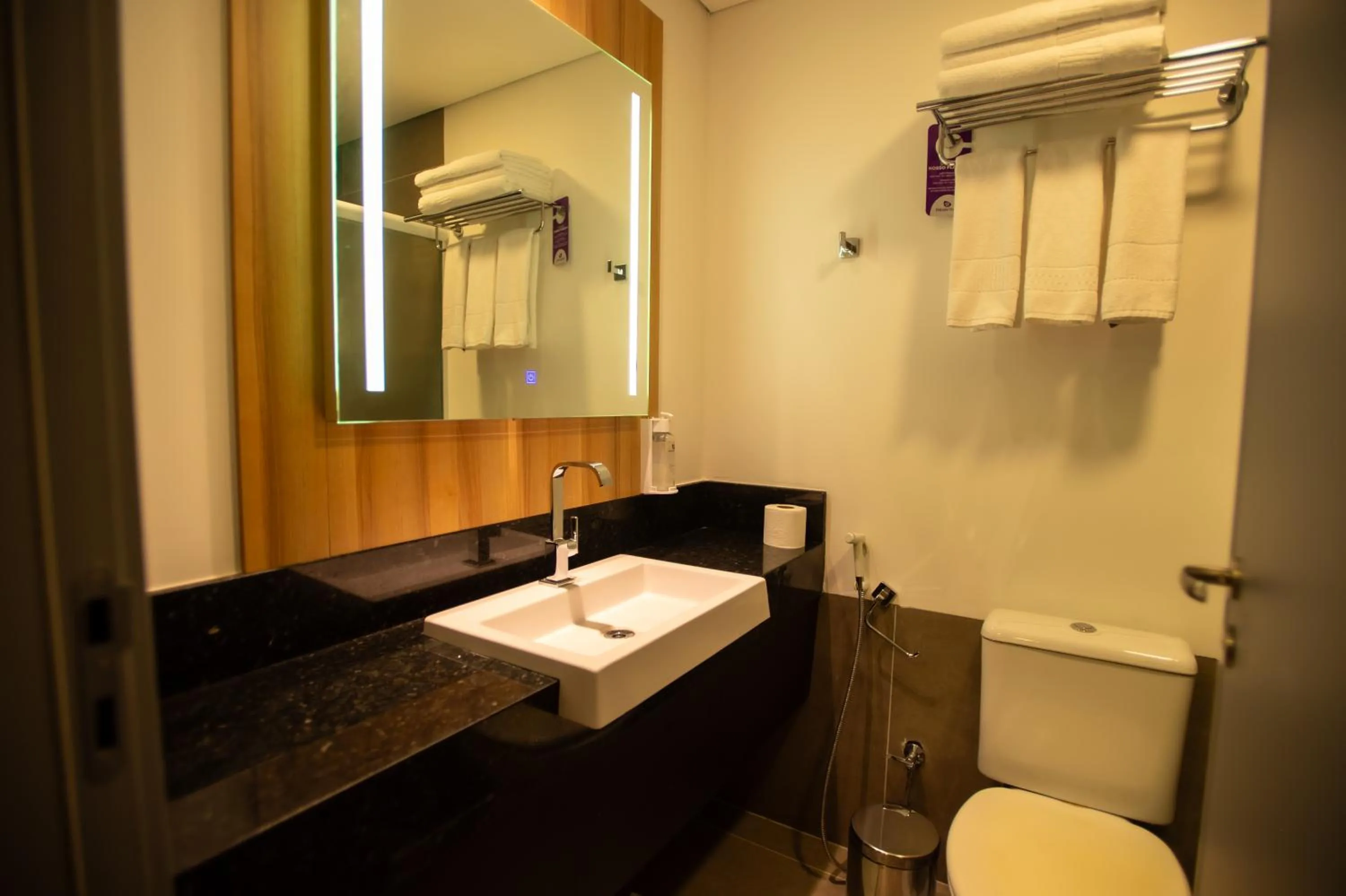 Bathroom in Delcas Hotel