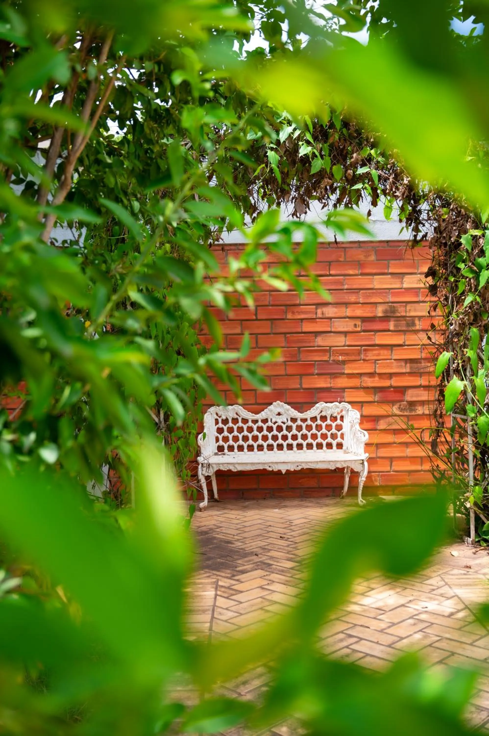 Garden in Delcas Hotel