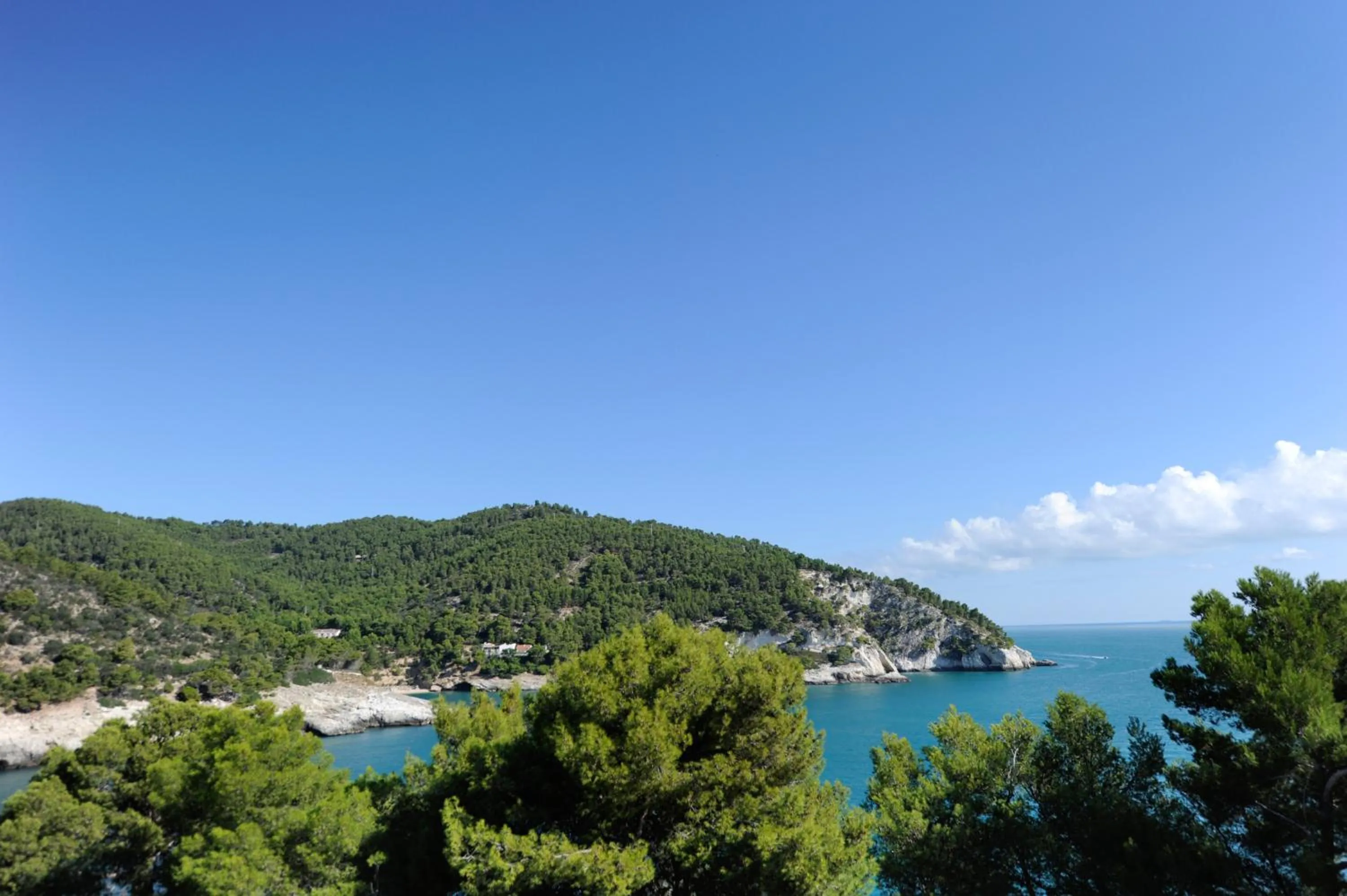 Natural landscape in Hotel degli Ulivi