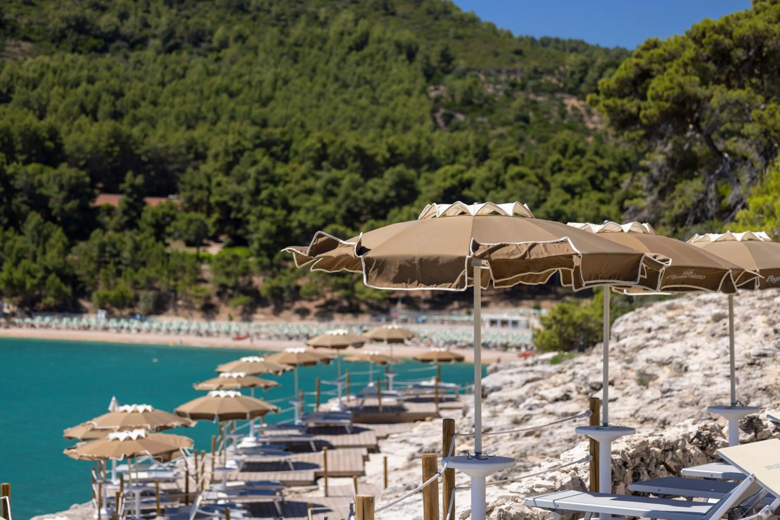 Natural landscape in Hotel degli Ulivi
