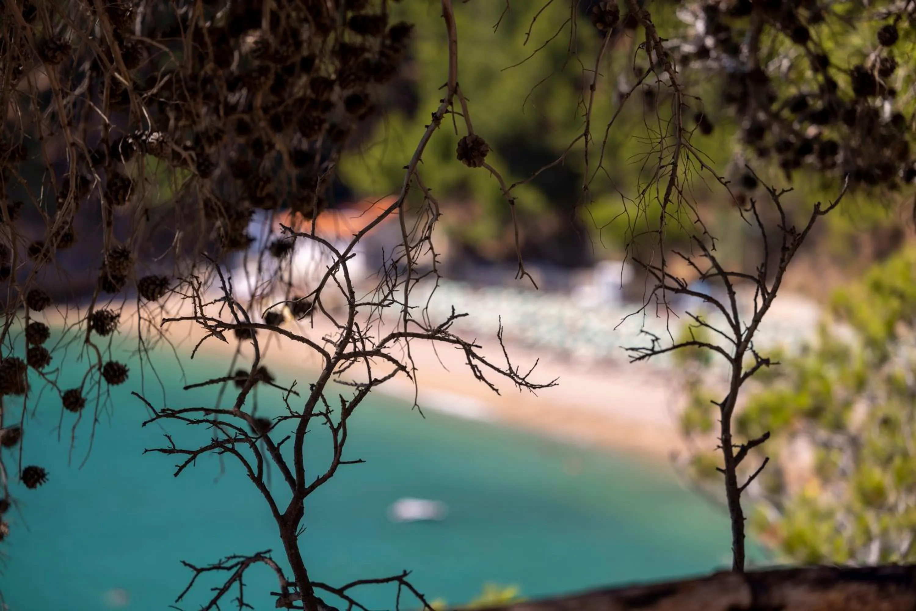 Natural landscape in Hotel degli Ulivi