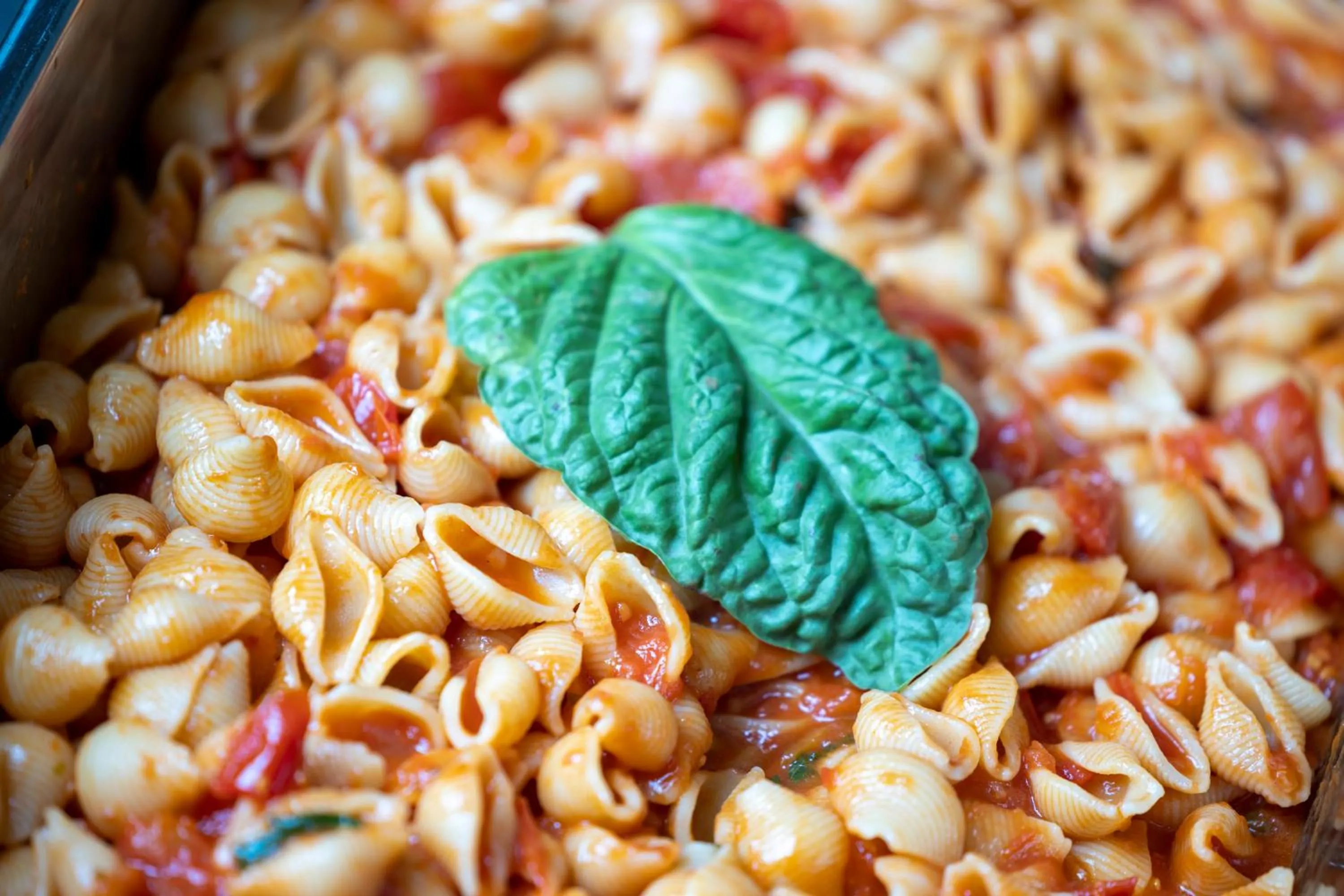 Restaurant/places to eat in Hotel degli Ulivi