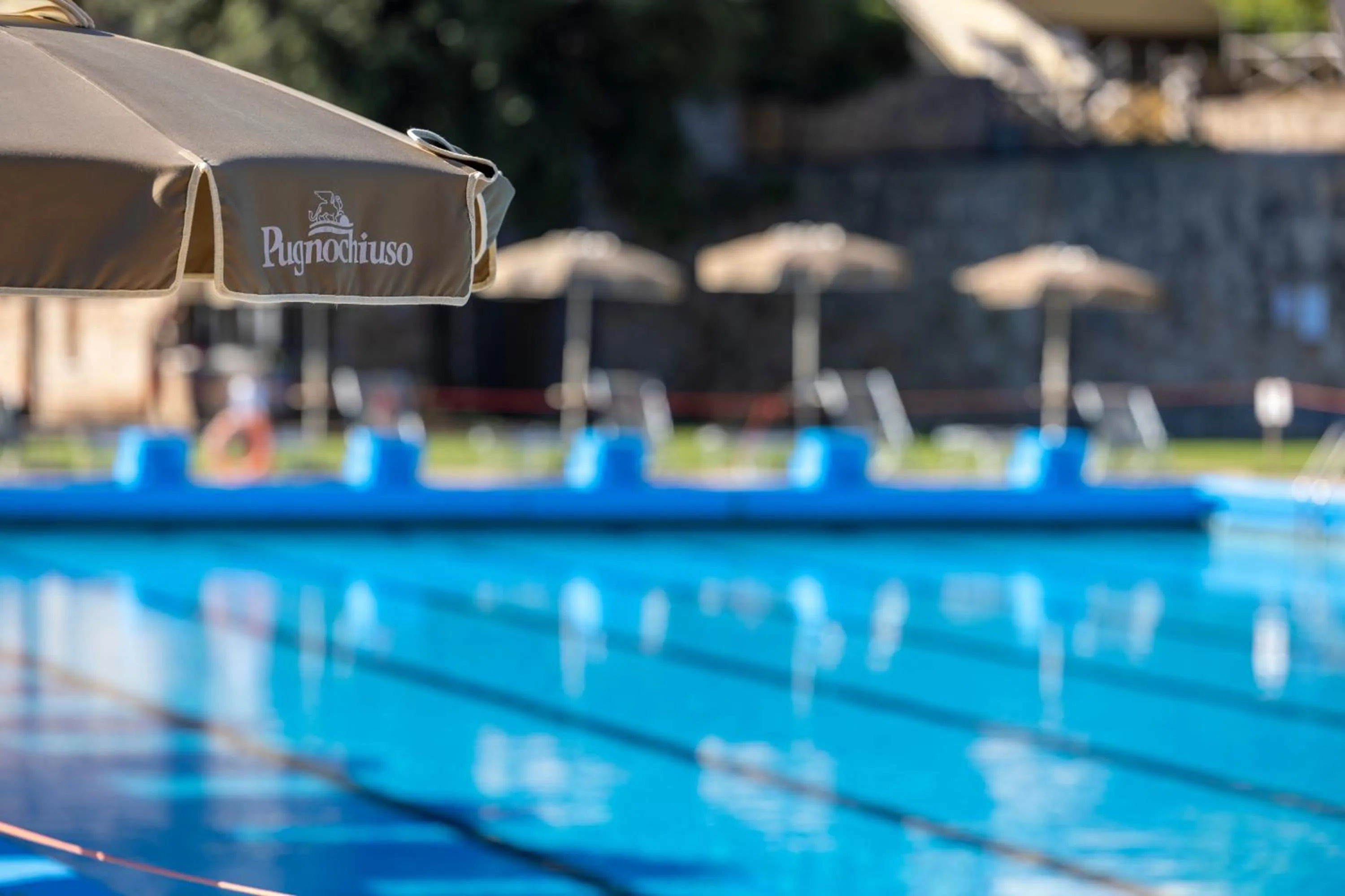 Day in Hotel degli Ulivi