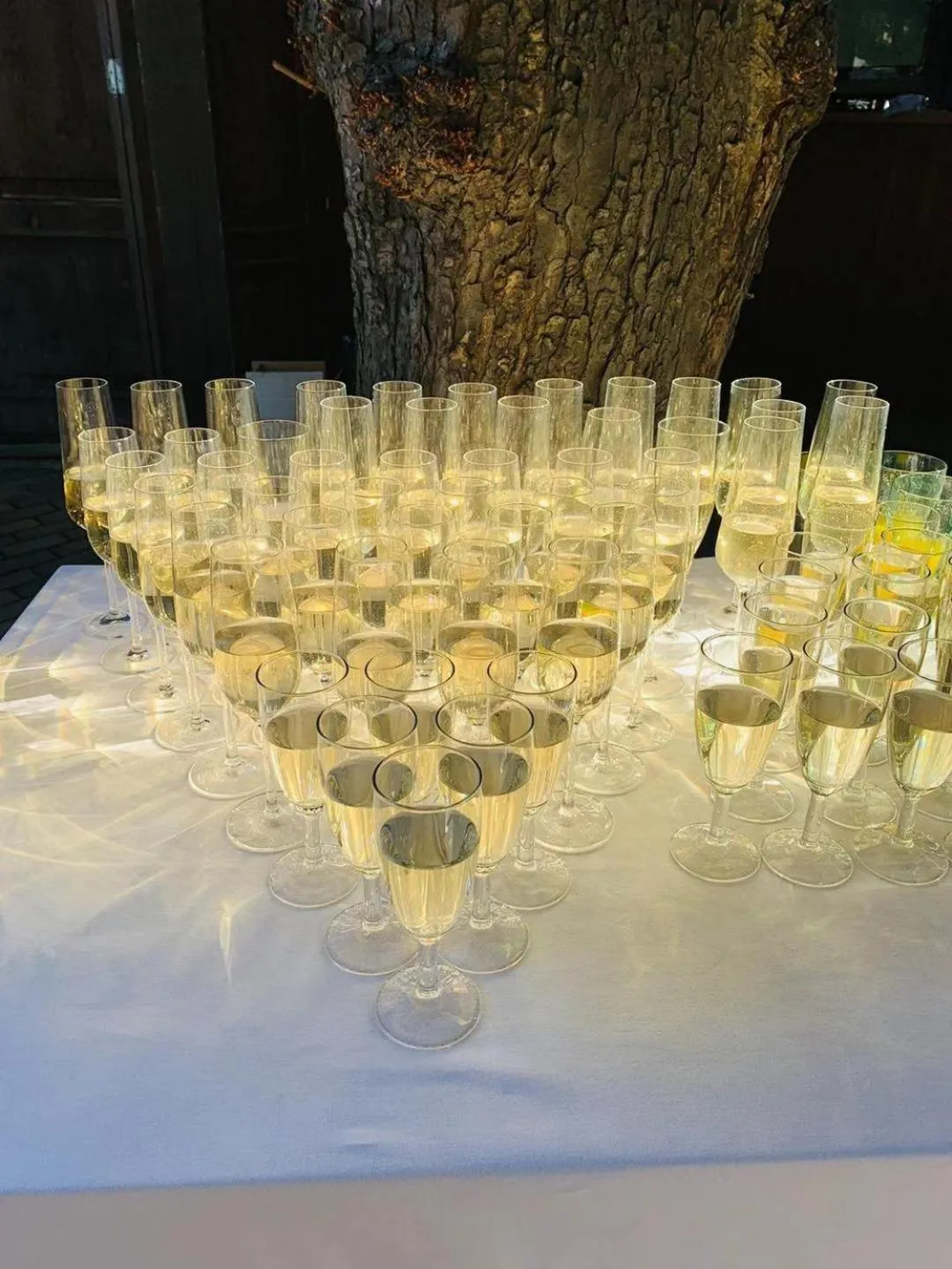 Food and drinks in Hotel Braník