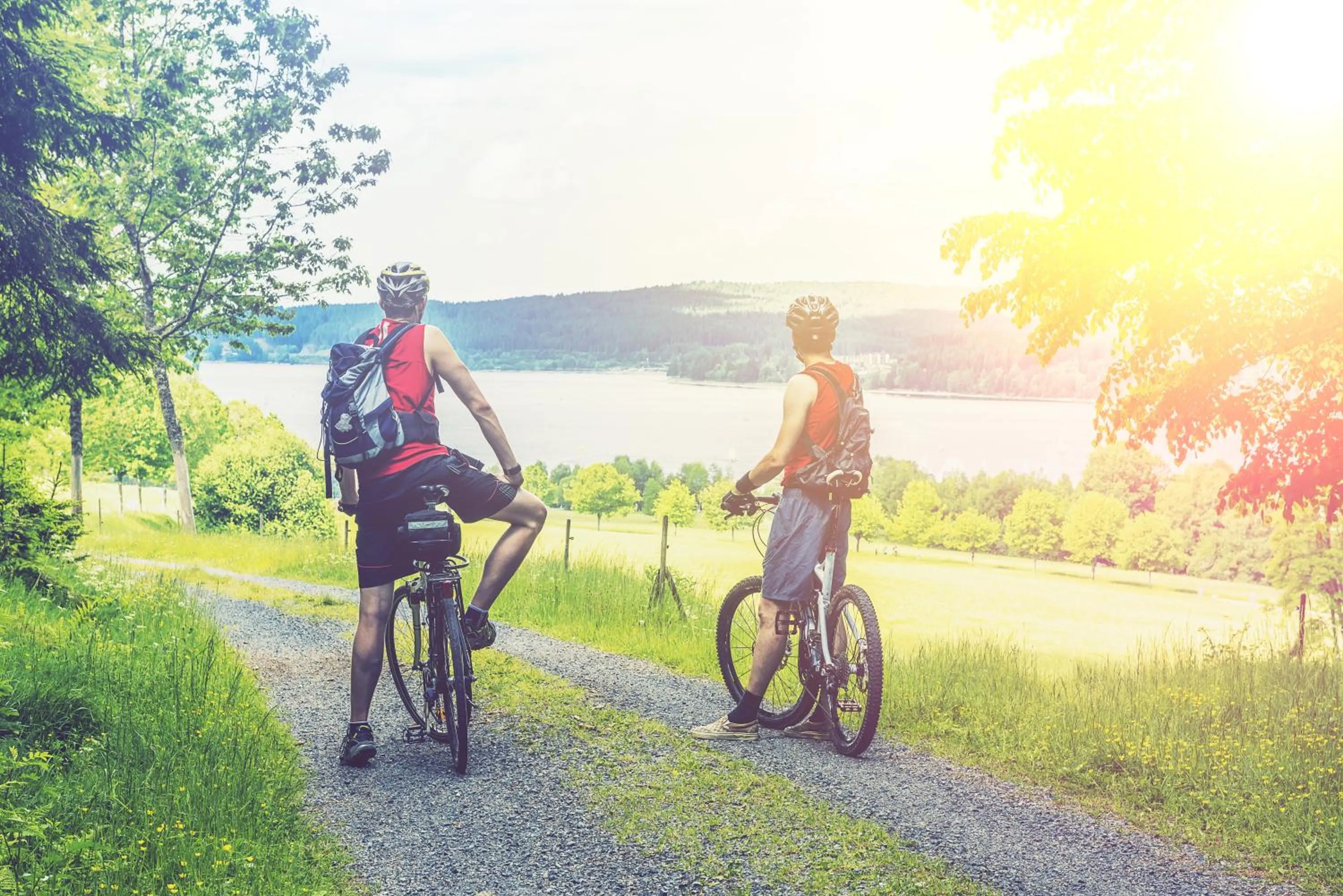 Area and facilities in Hotel Am Stadtpark