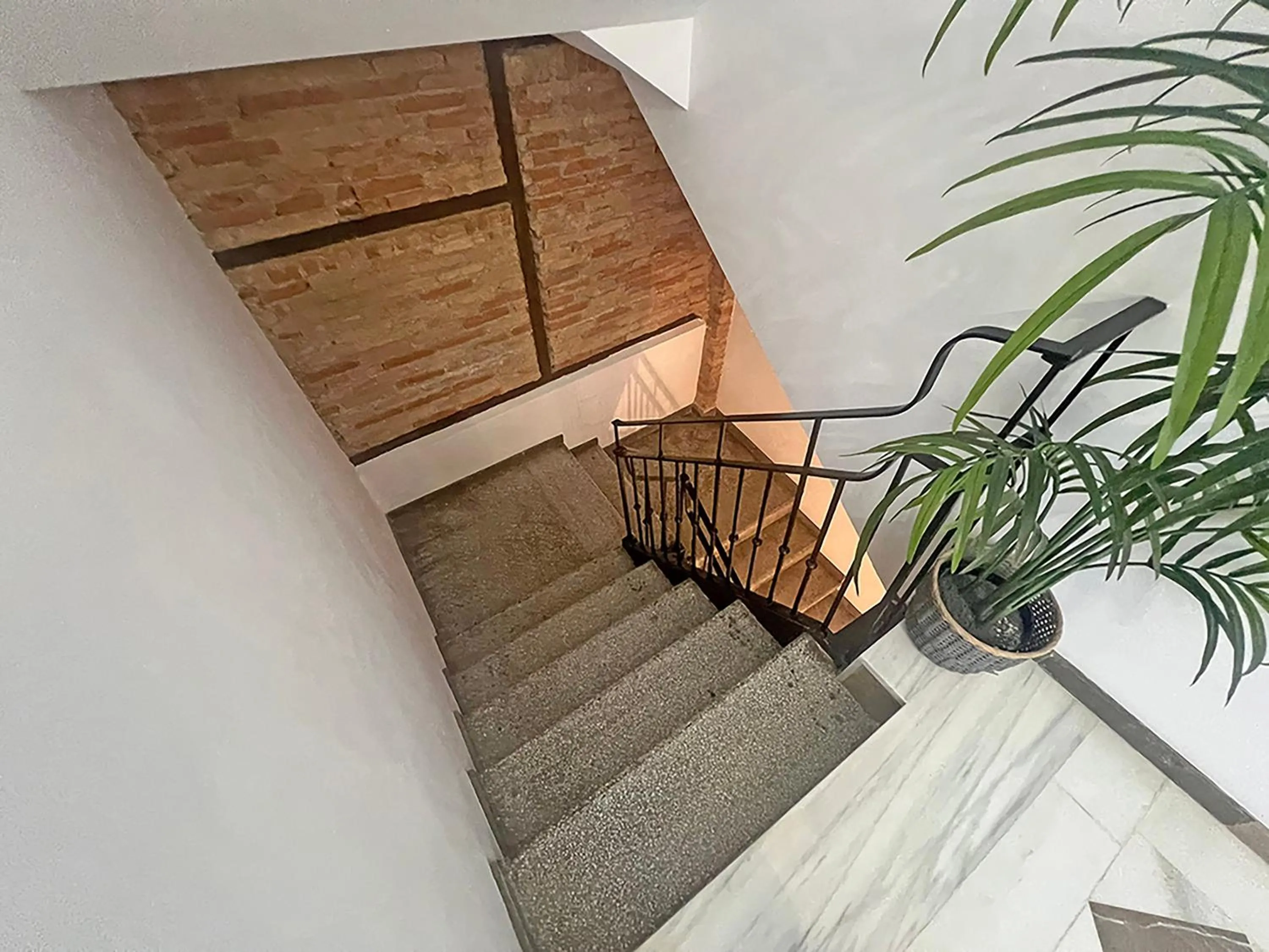Decorative detail in Apartamentos Real Suites Realejo 3000
