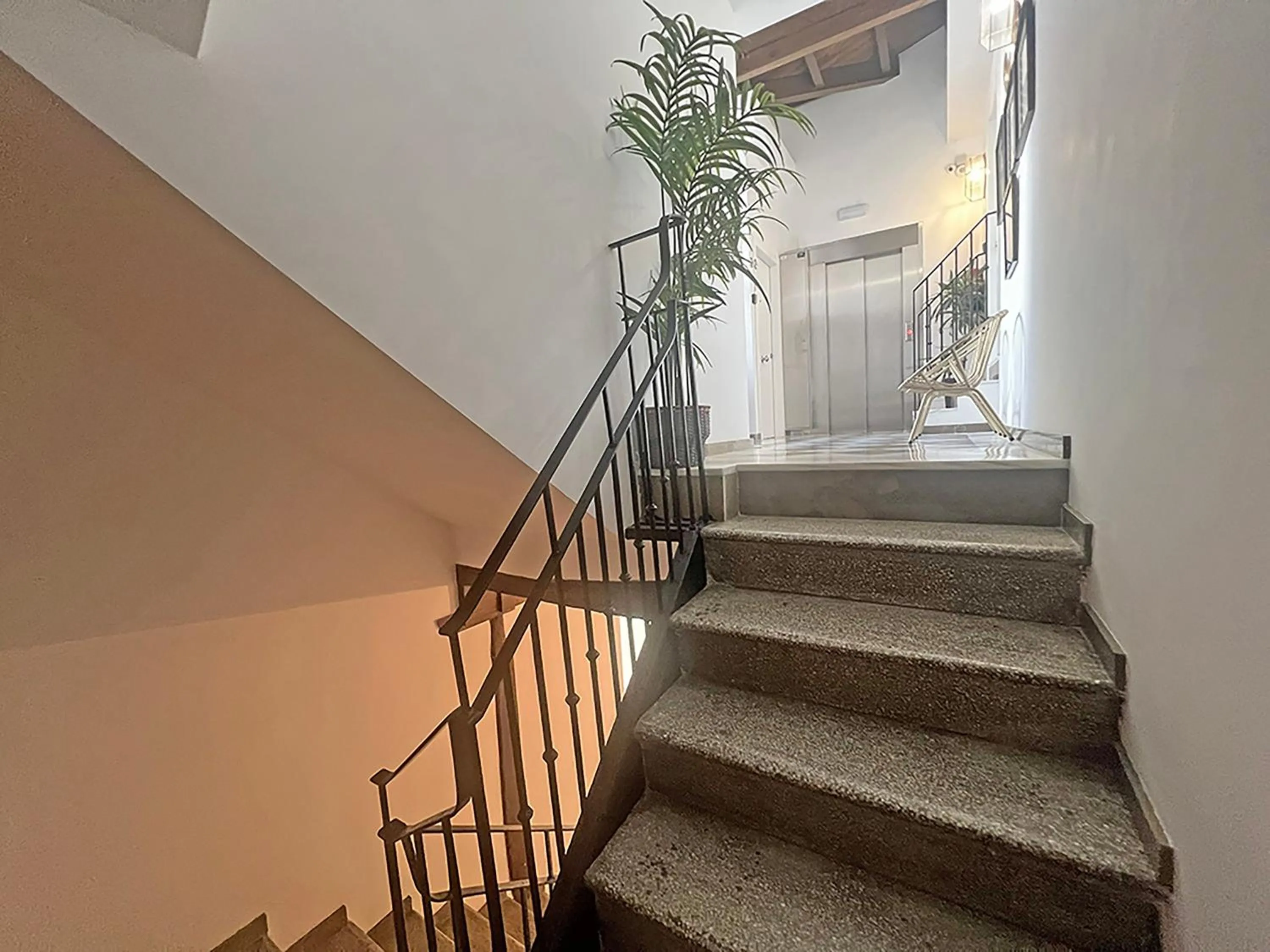 Decorative detail in Apartamentos Real Suites Realejo 3000