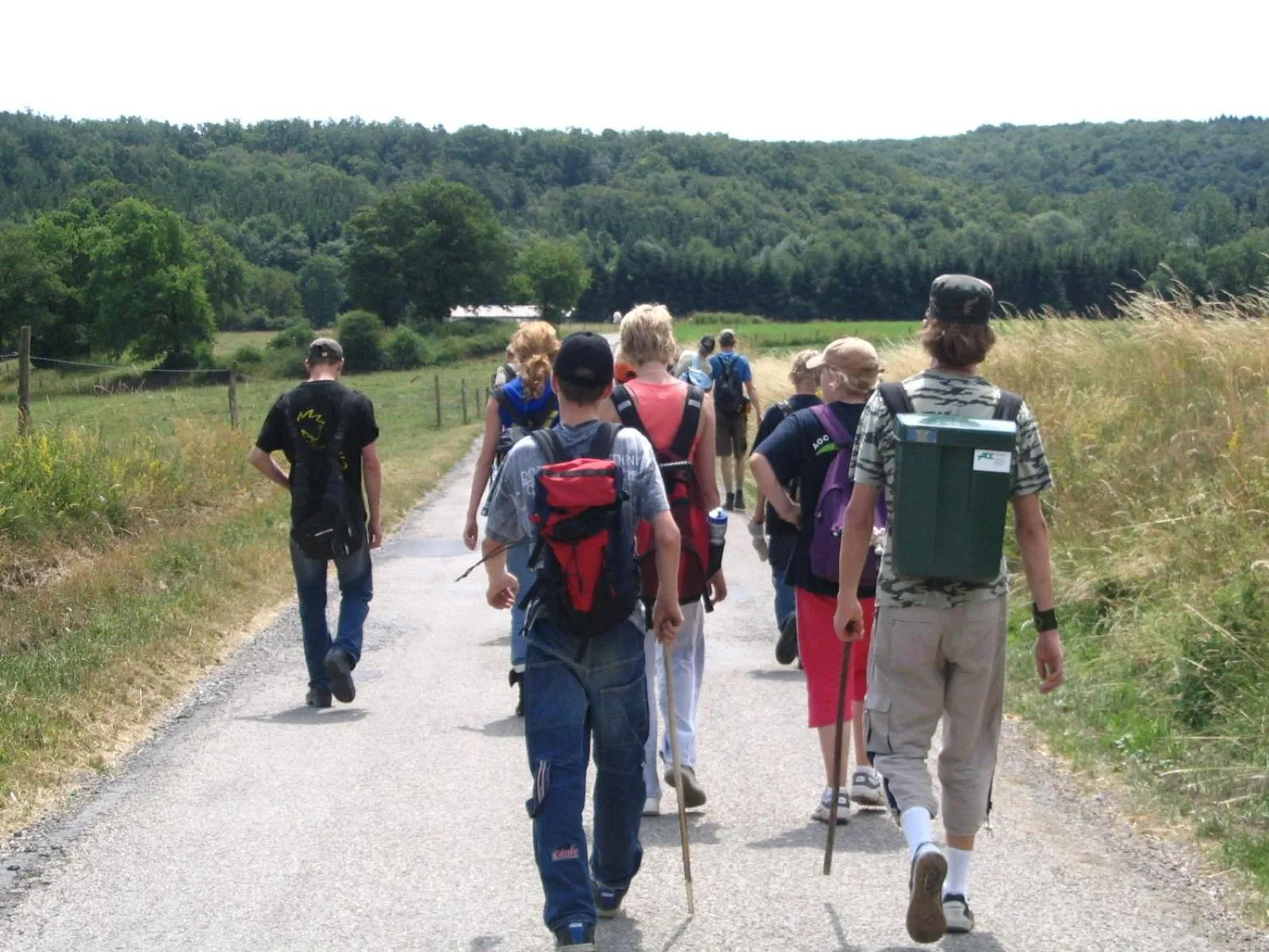 Activities in La Fleur et Le Soleil (F&S)