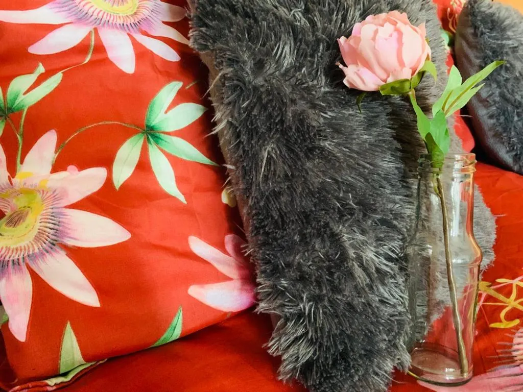 La Fleur et Le Soleil (F&S)