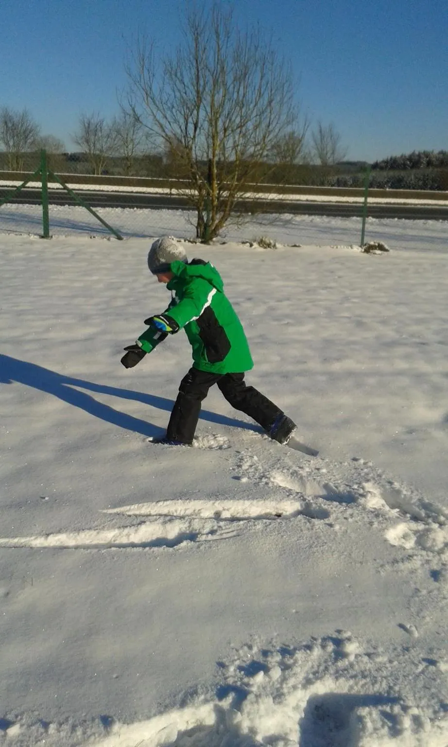 La Fleur et Le Soleil (F&S)